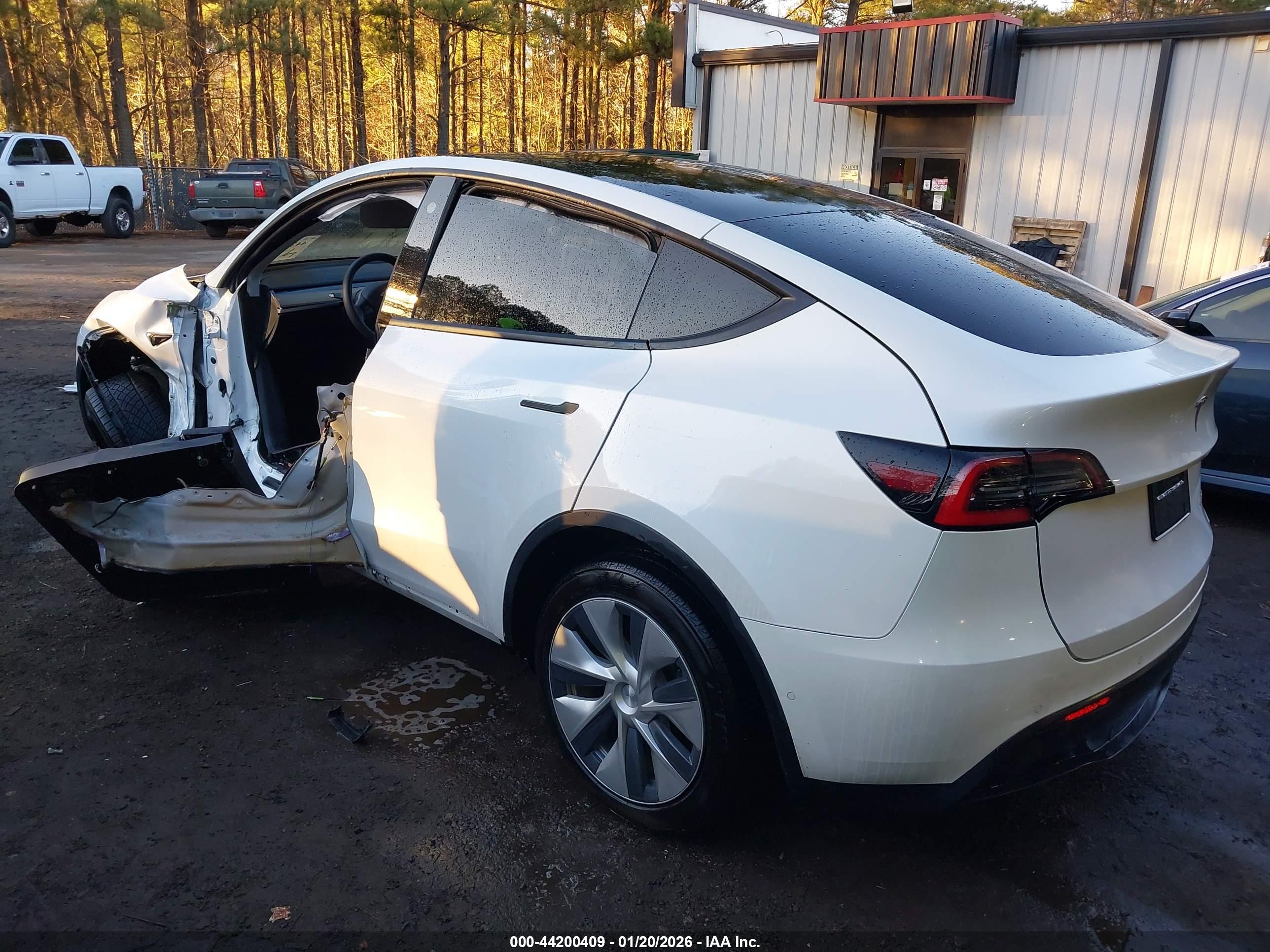 TESLA MODEL image 3