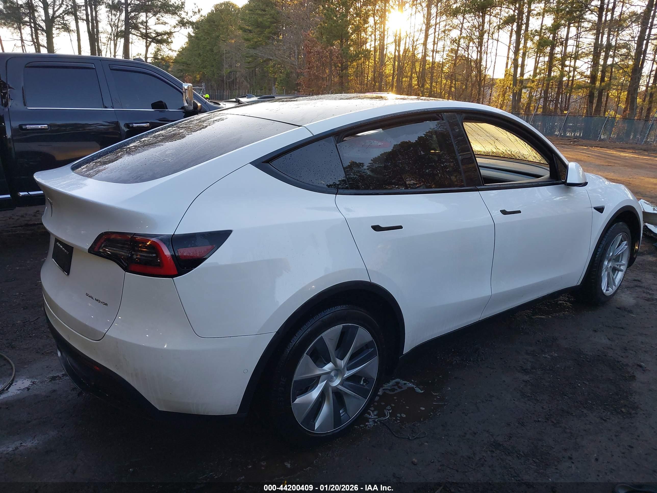 TESLA MODEL image 4
