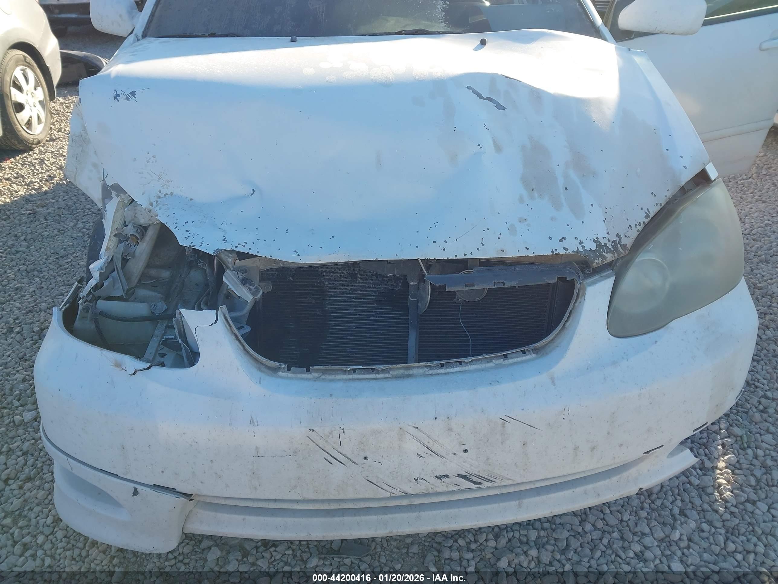 TOYOTA COROLLA image 6
