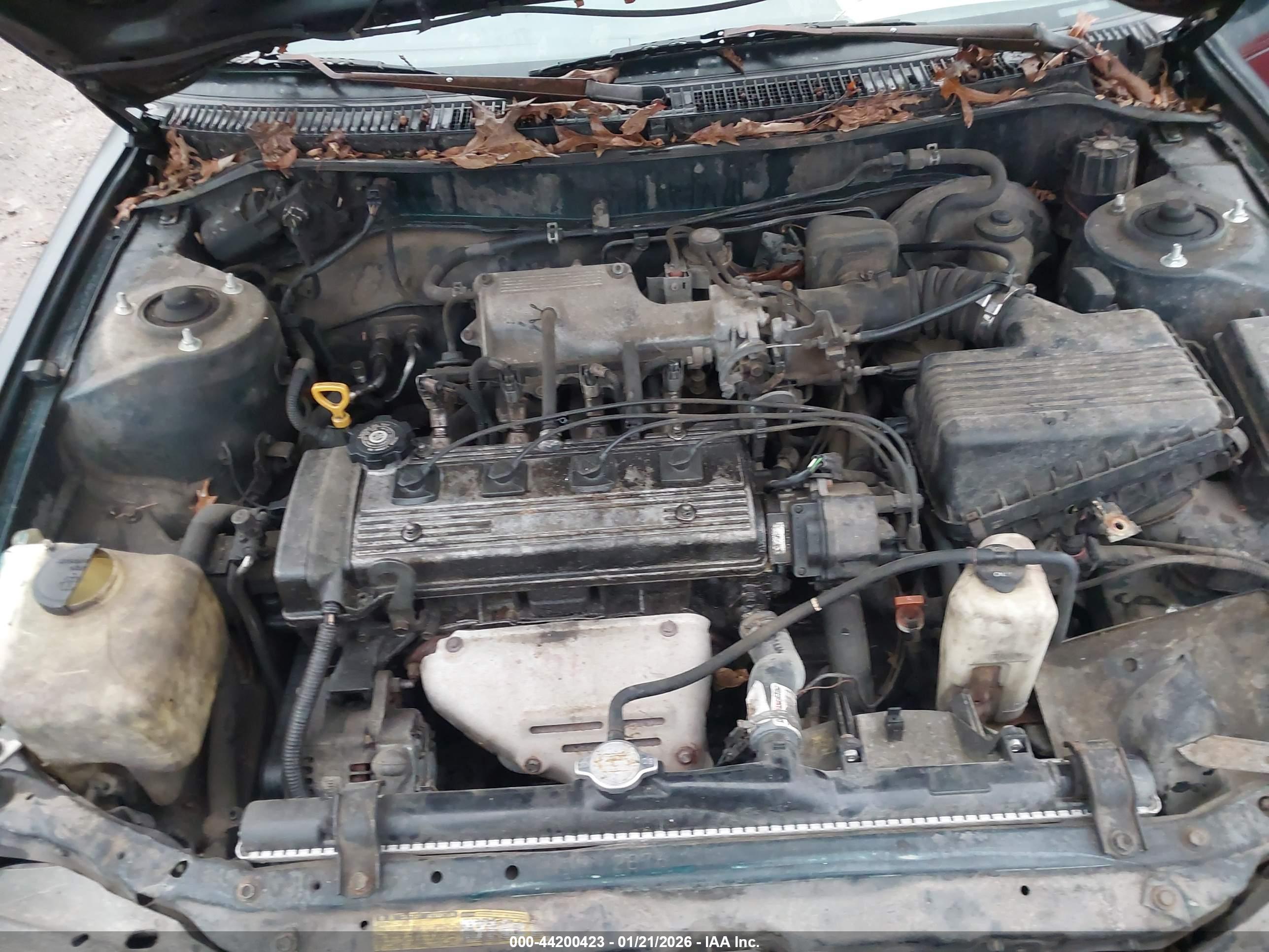 TOYOTA COROLLA image 10