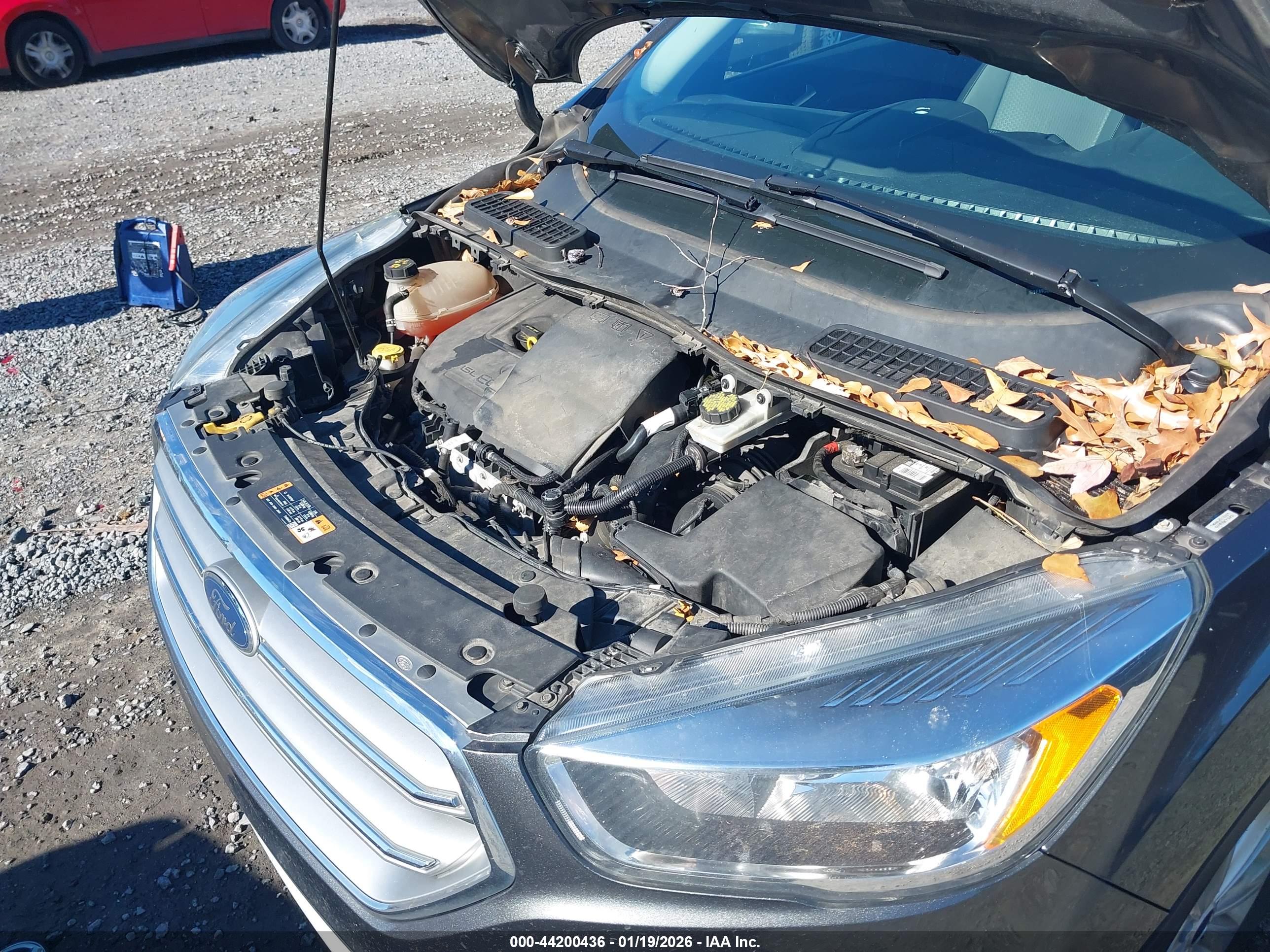FORD ESCAPE image 10