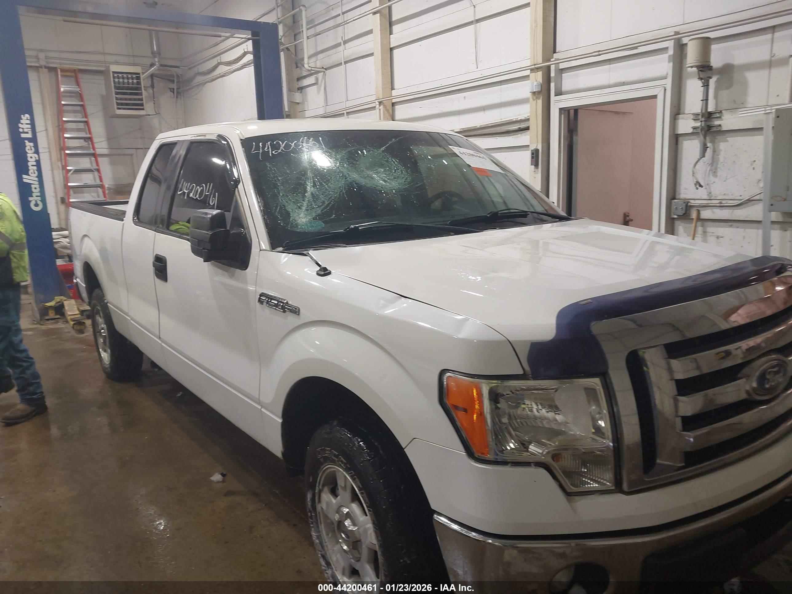 FORD F-150 image 6