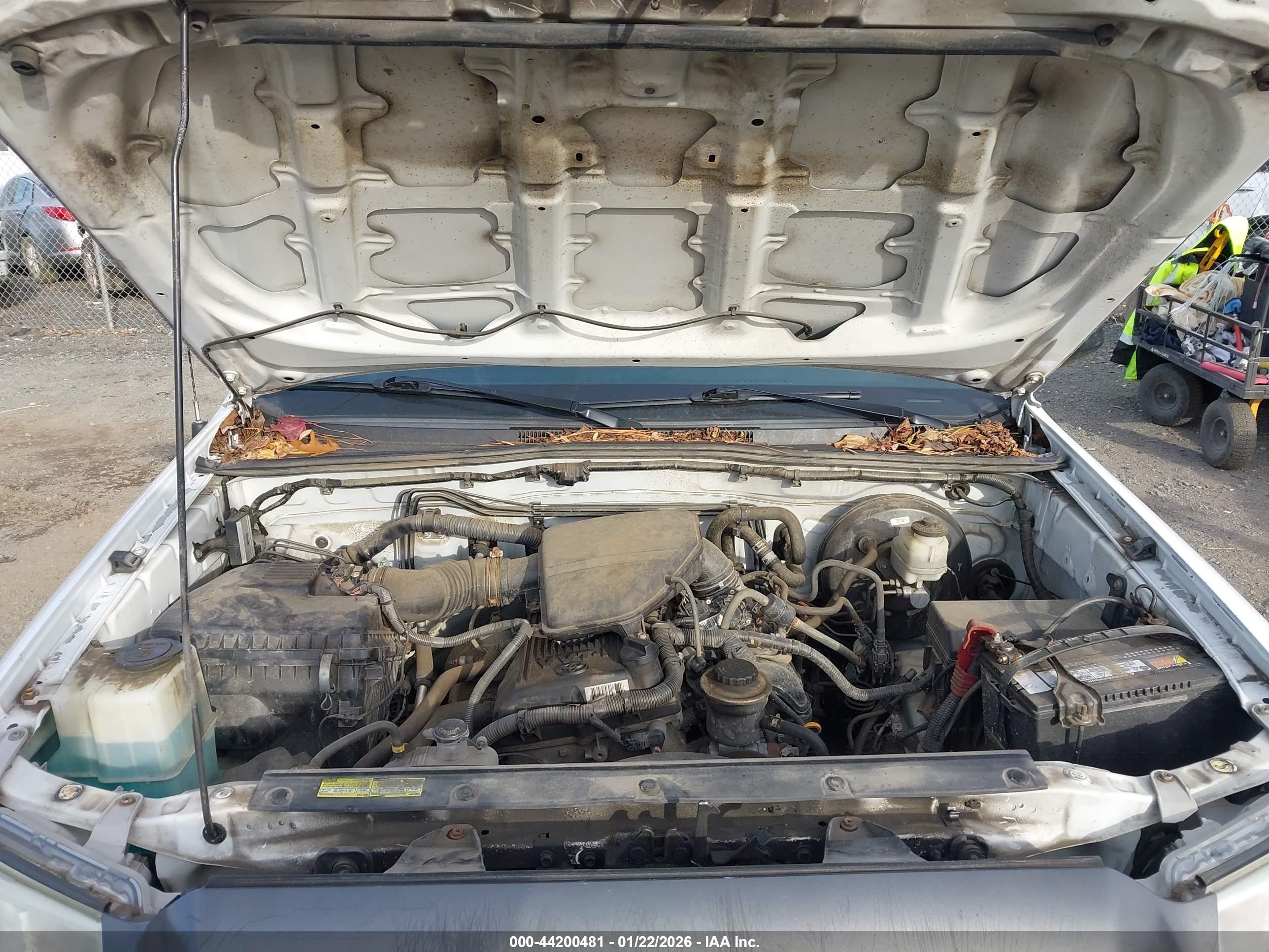 TOYOTA TACOMA image 10