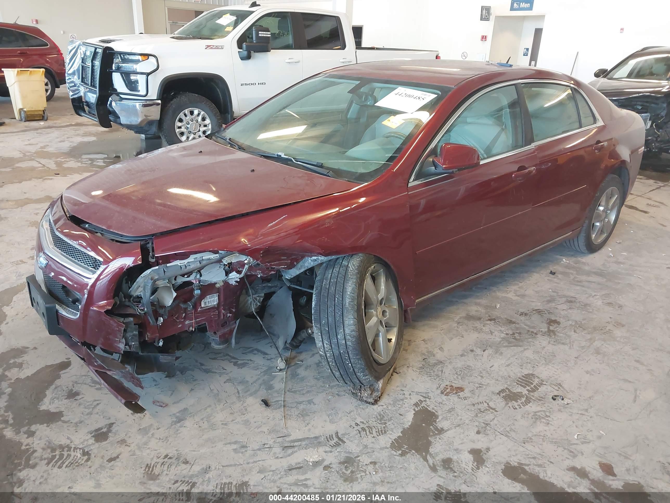 CHEVROLET MALIBU image 2