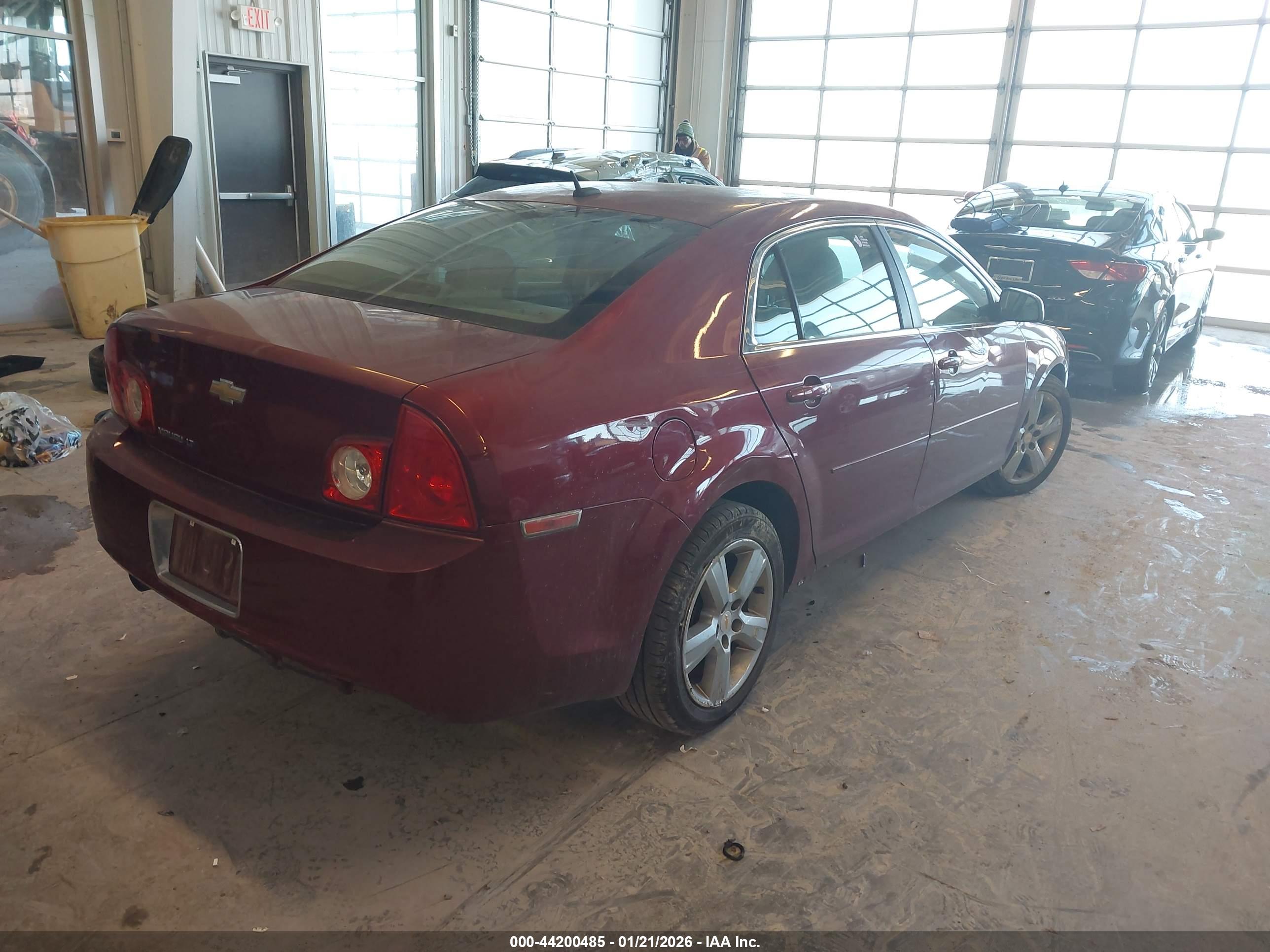 CHEVROLET MALIBU image 4