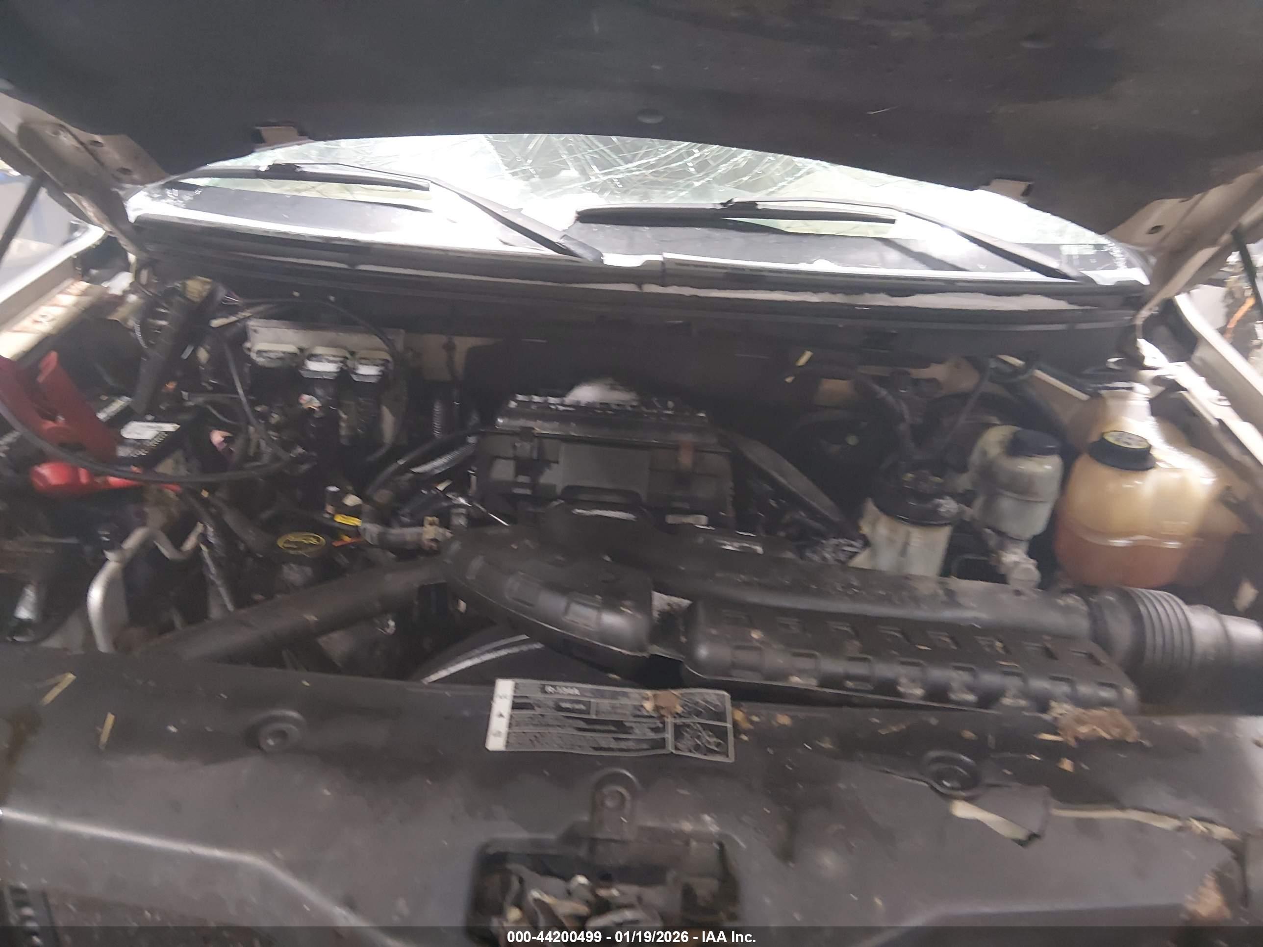 FORD F-150 image 10