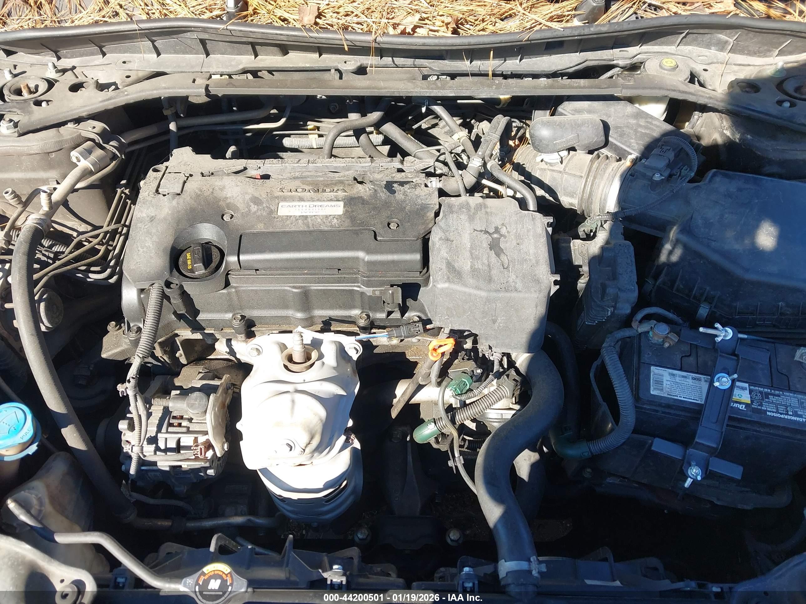 HONDA ACCORD image 10