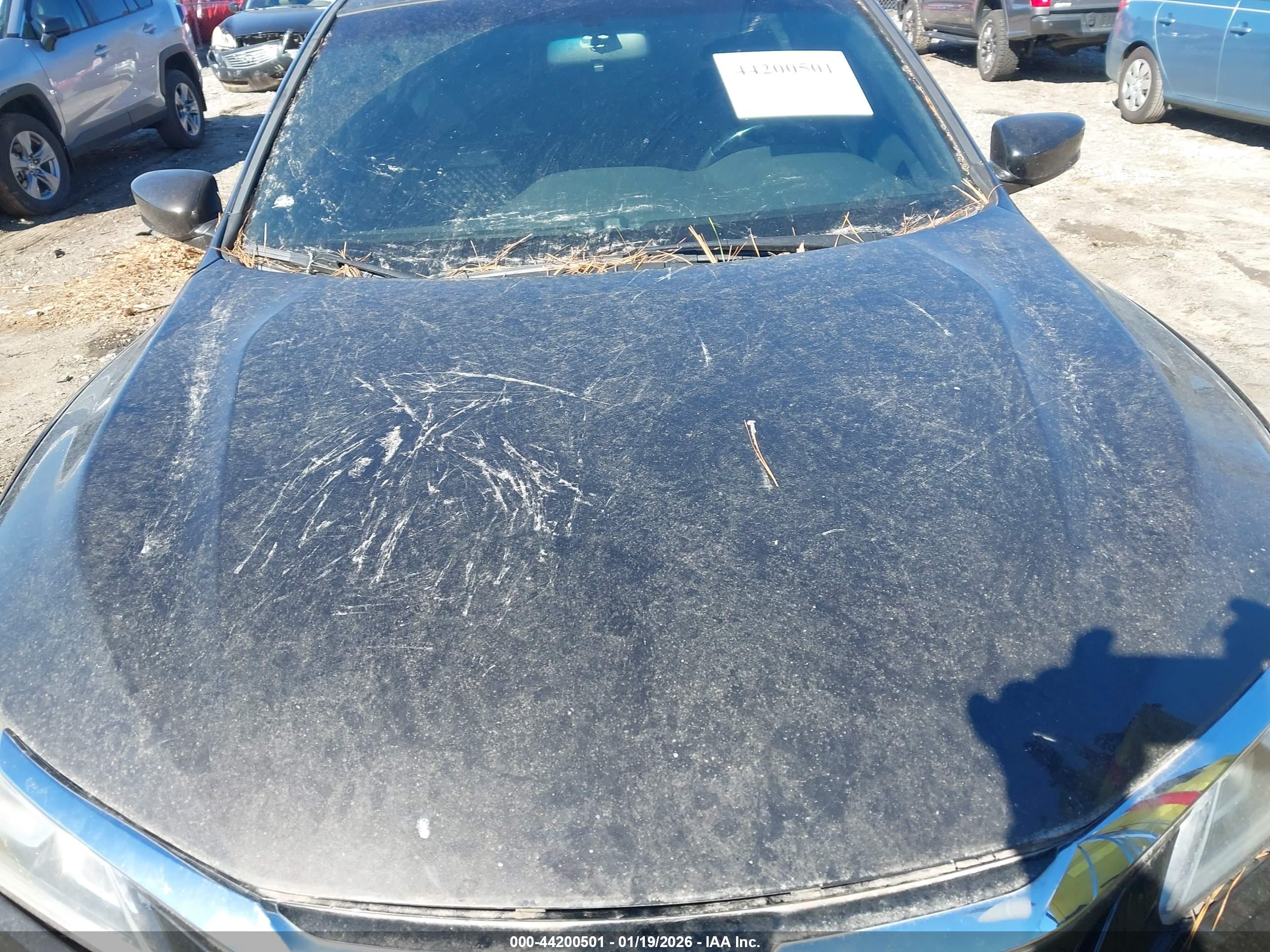 HONDA ACCORD image 6