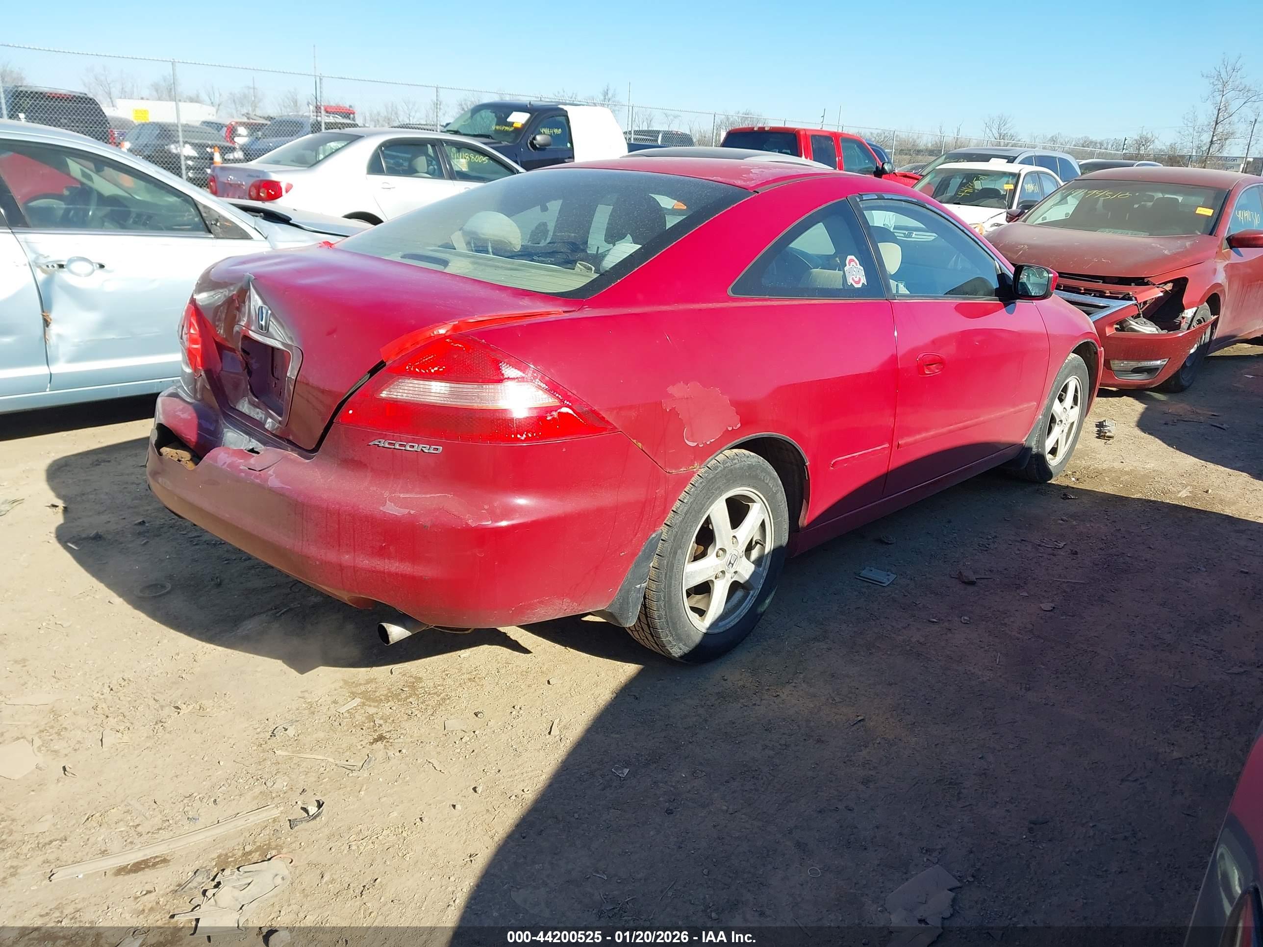HONDA ACCORD image 4