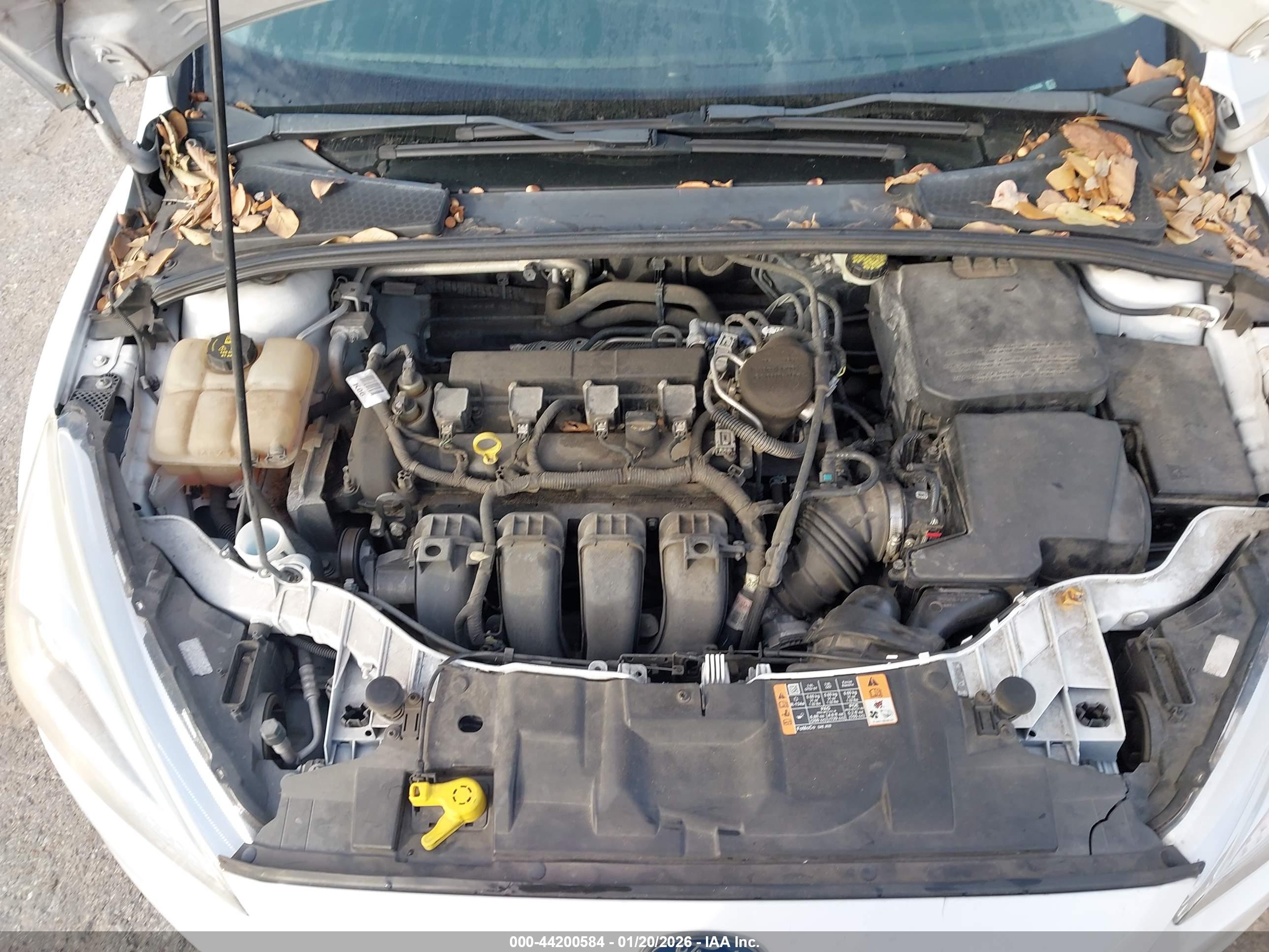 FORD FOCUS image 10