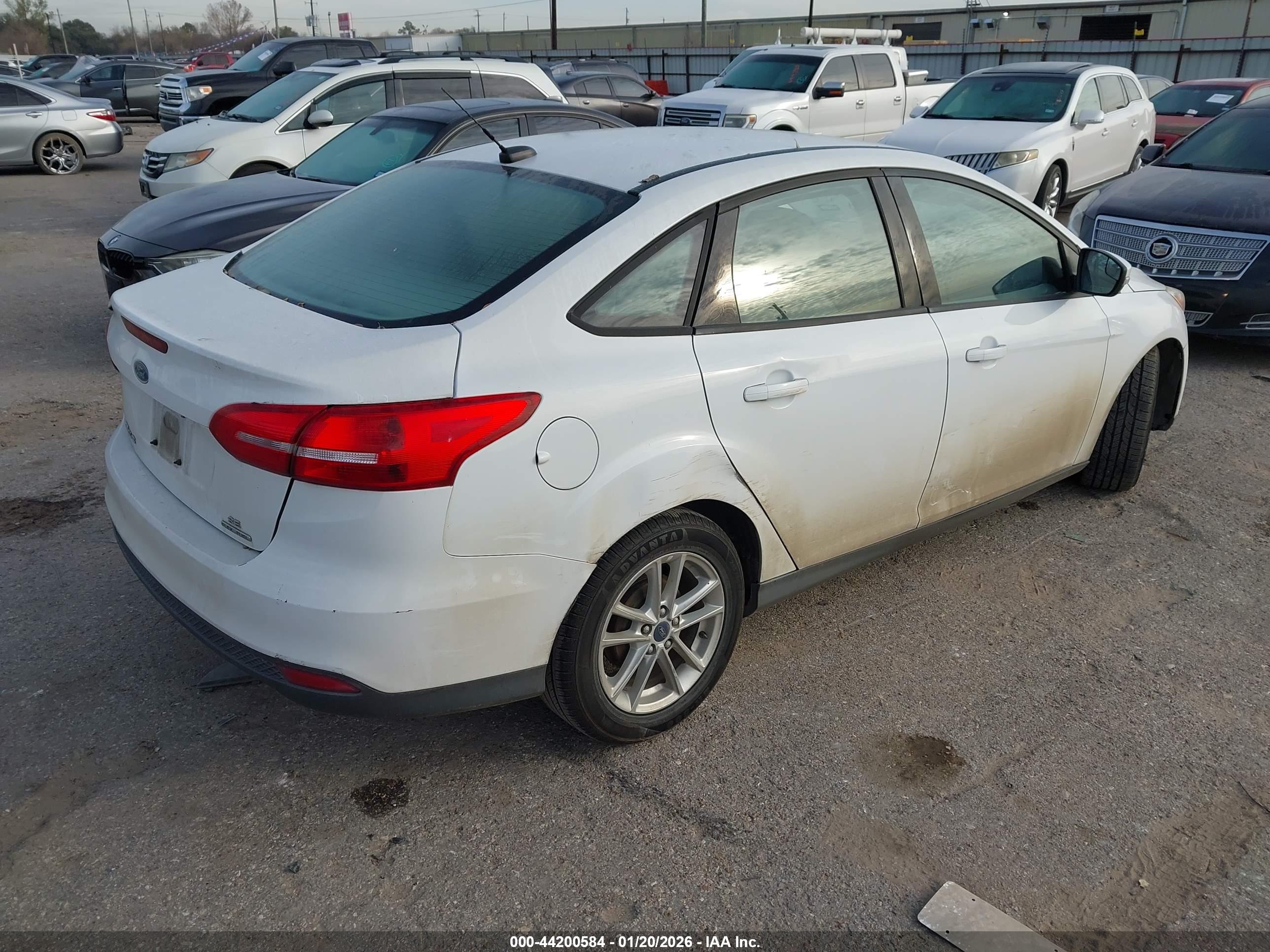 FORD FOCUS image 4