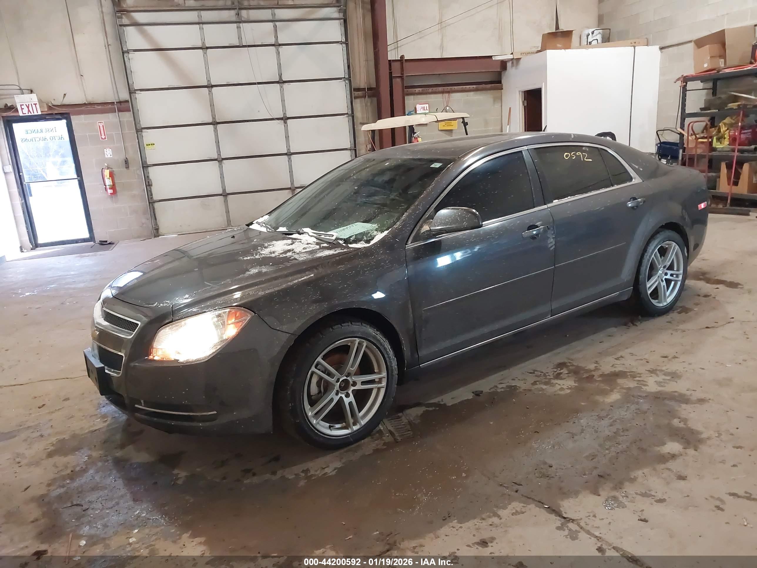 CHEVROLET MALIBU image 2