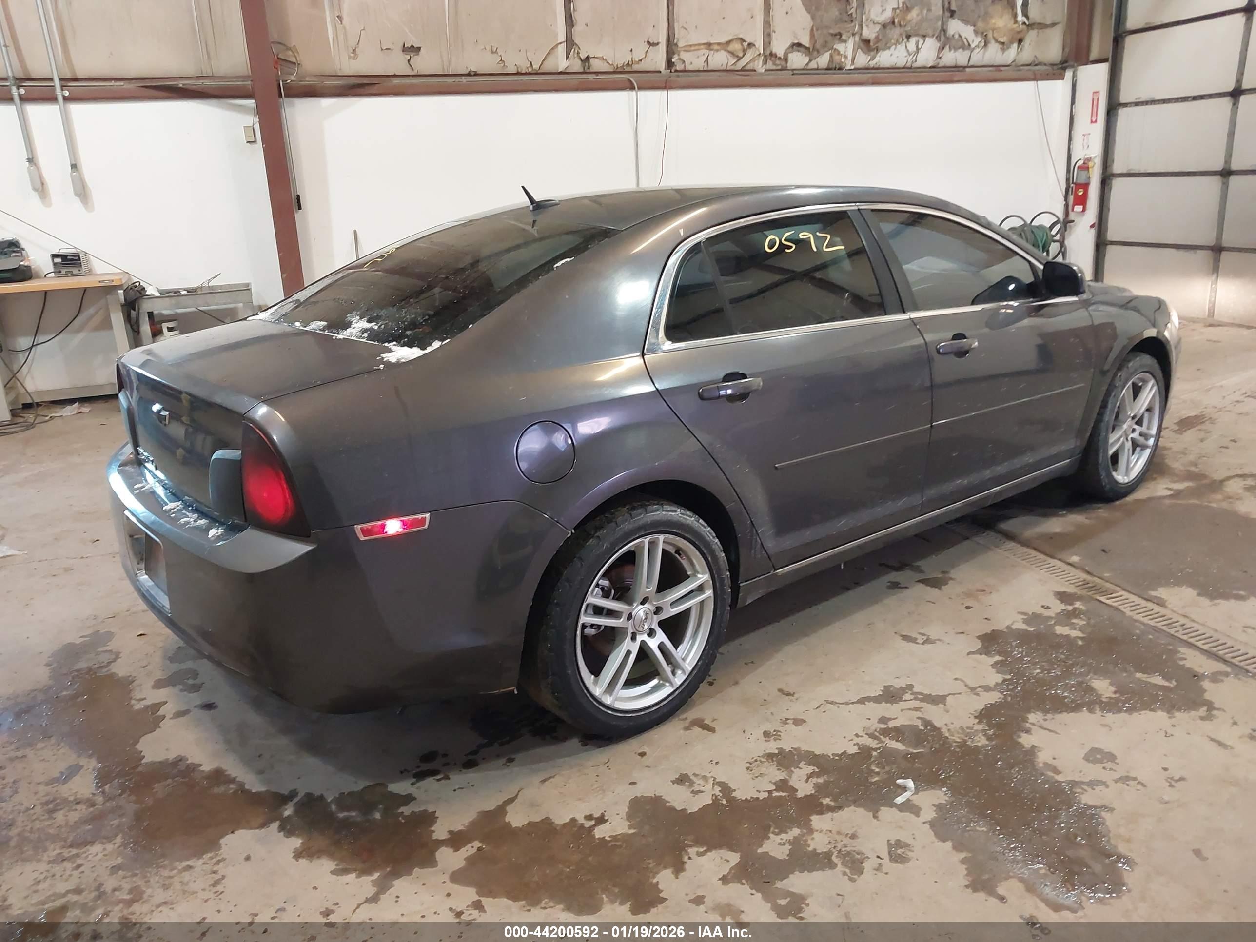 CHEVROLET MALIBU image 4