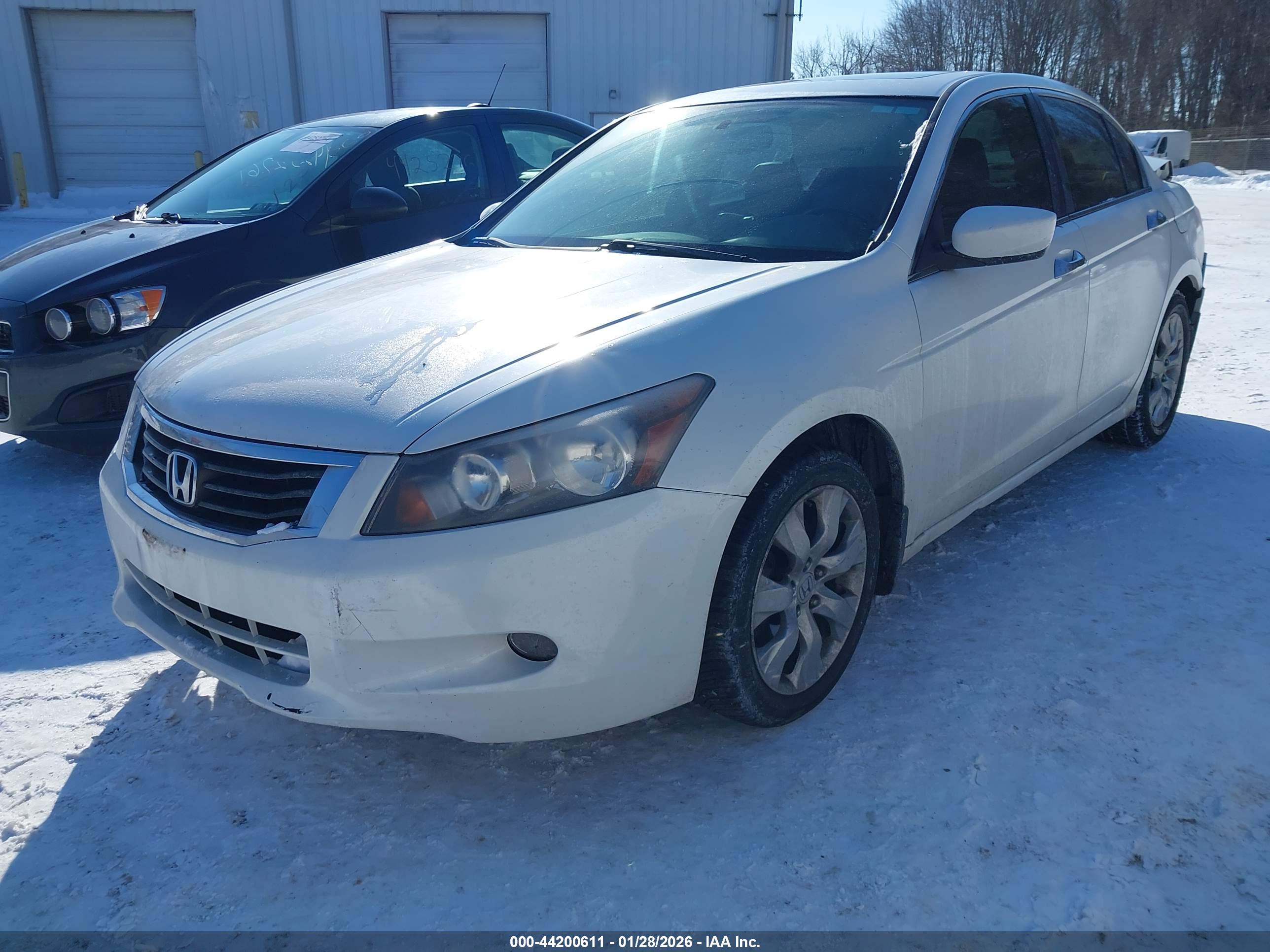 HONDA ACCORD image 2