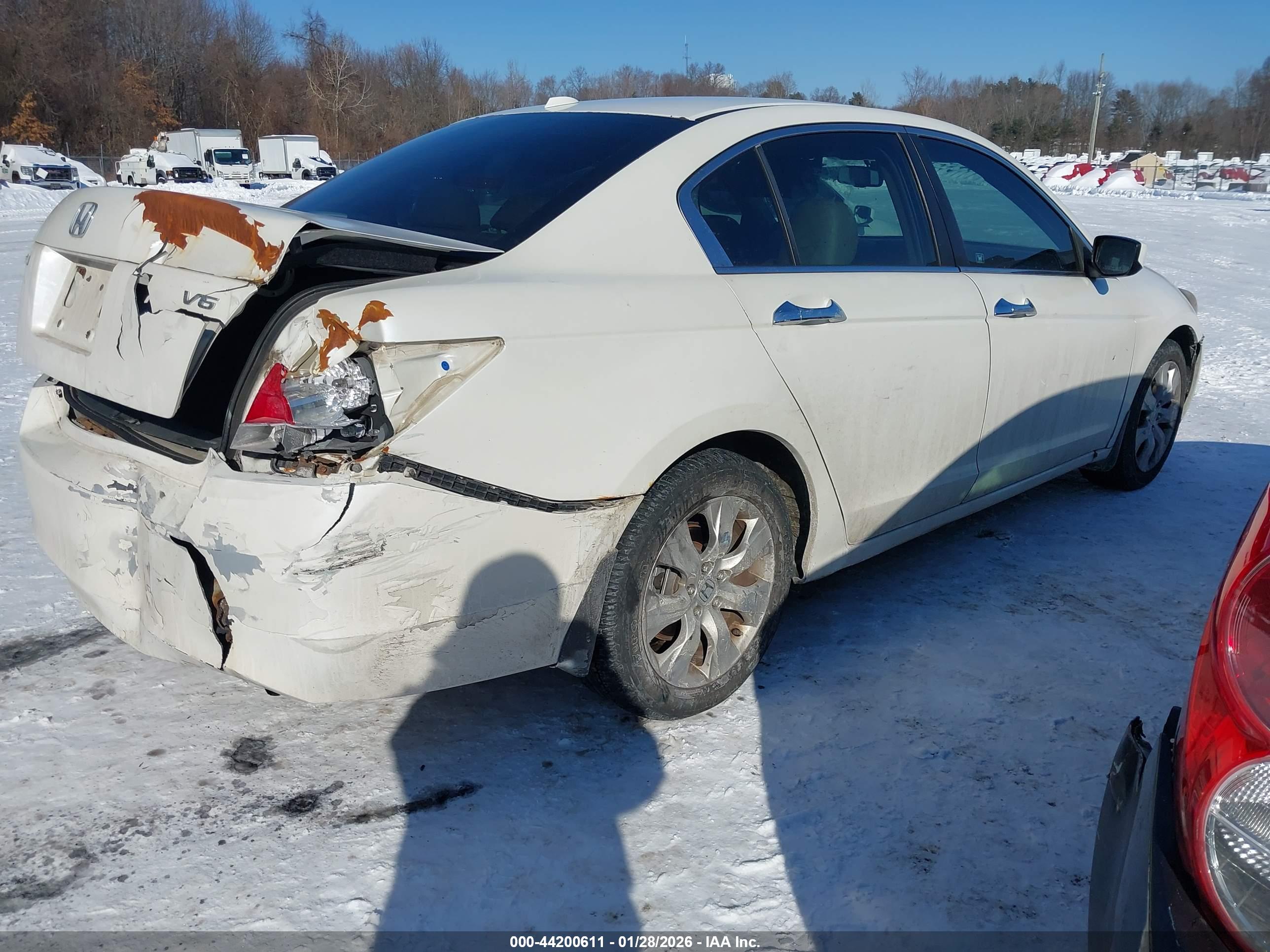 HONDA ACCORD image 4
