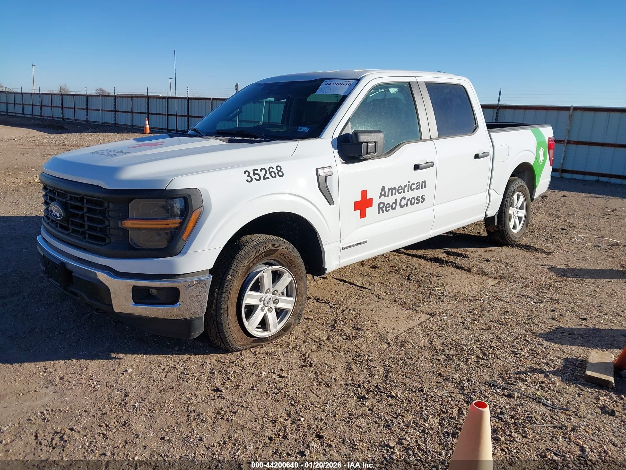 FORD F-150 image 2