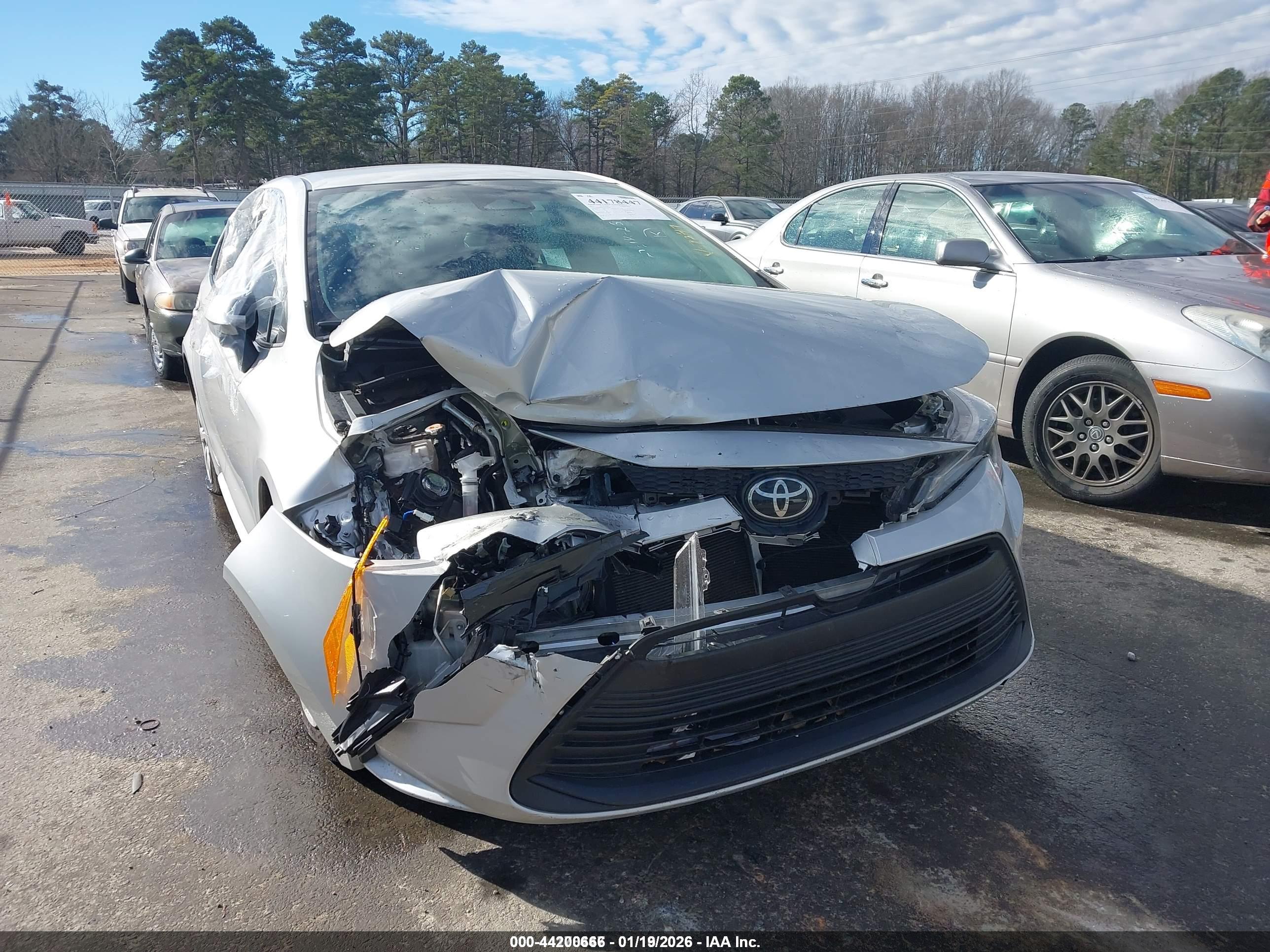 TOYOTA COROLLA image 6