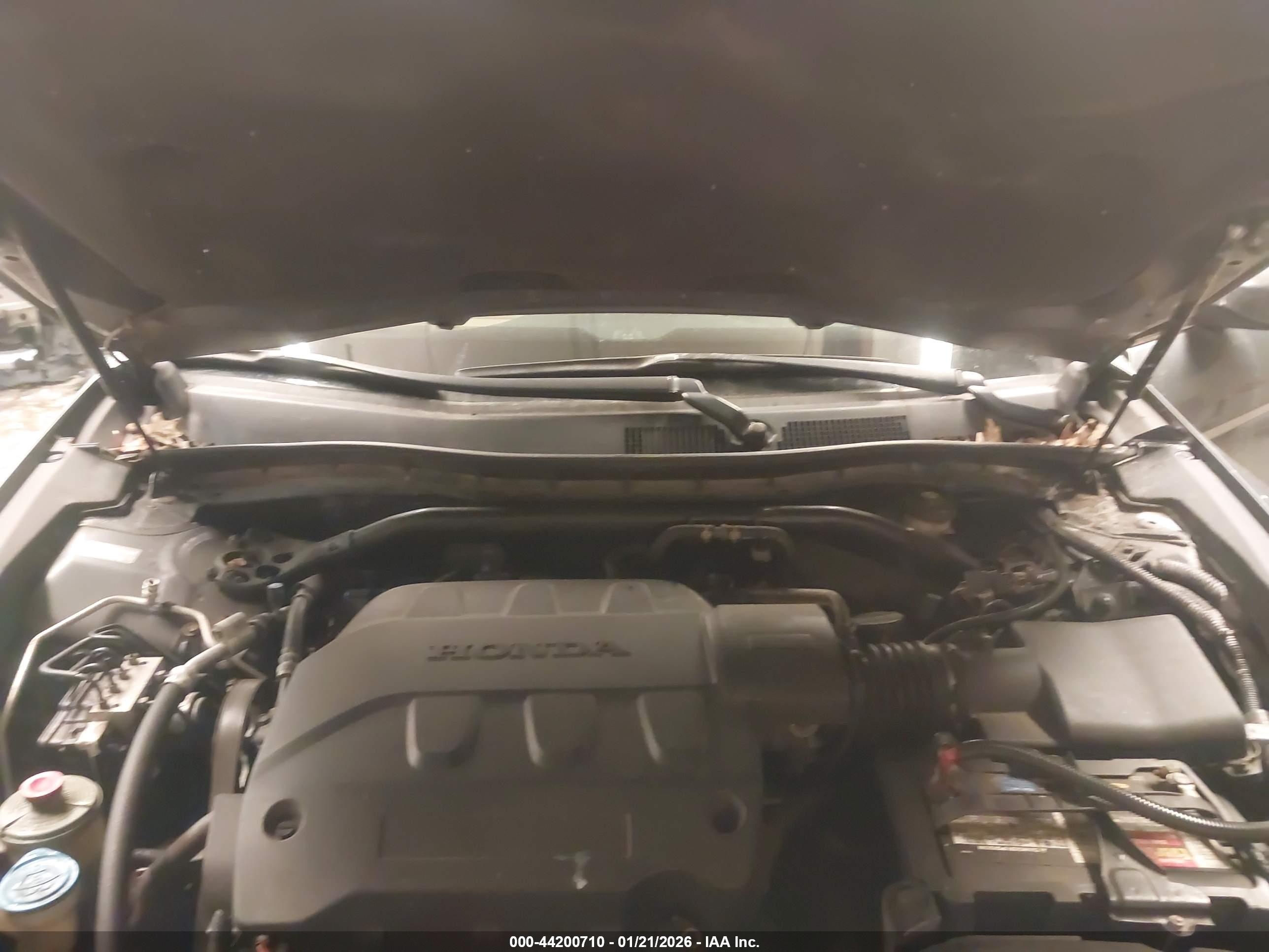HONDA ACCORD image 10
