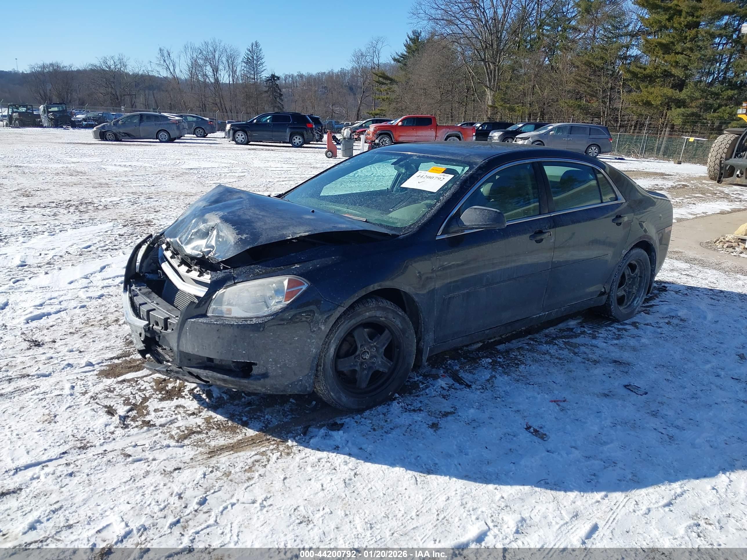 CHEVROLET MALIBU image 2