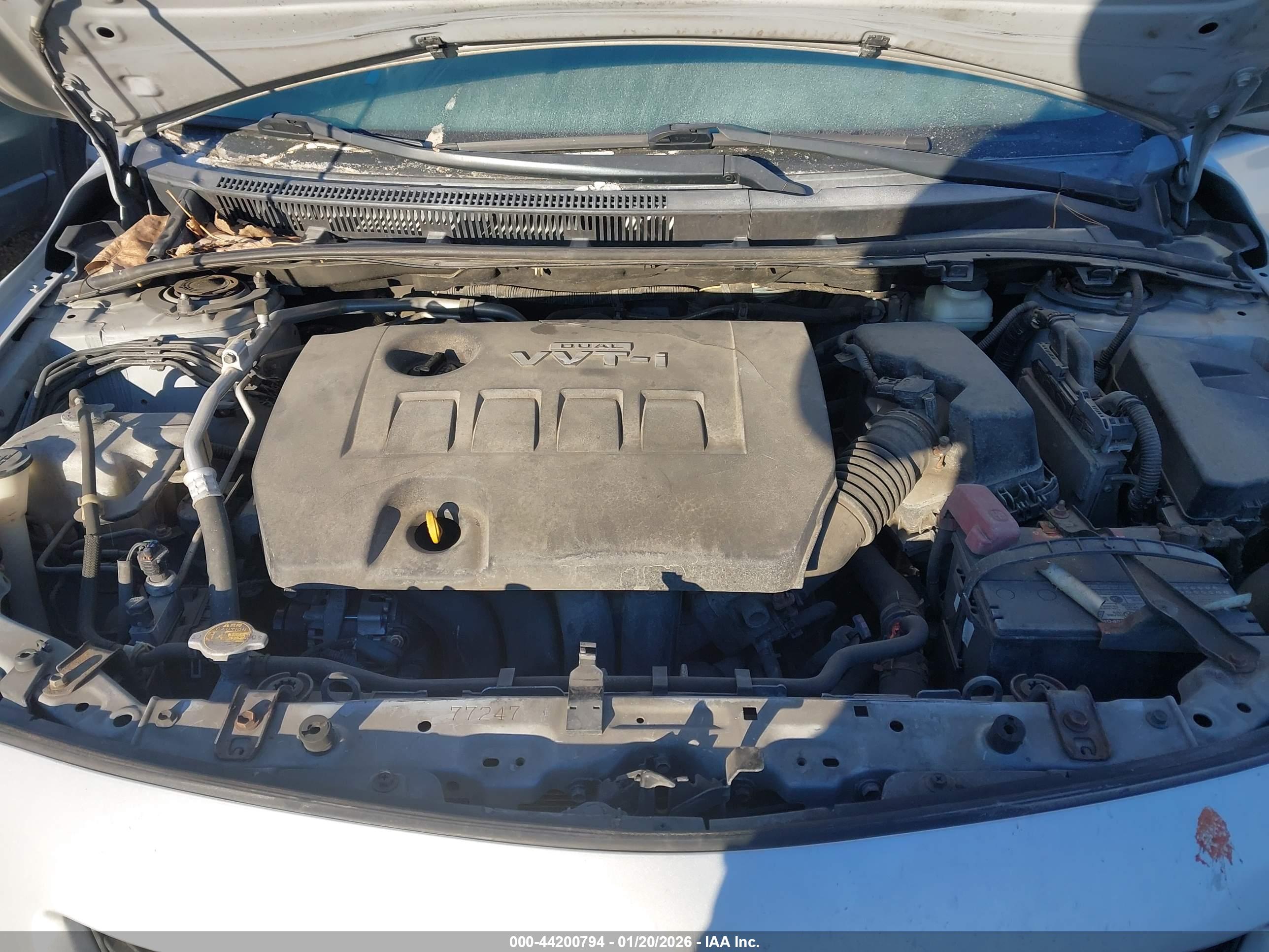 TOYOTA COROLLA image 10