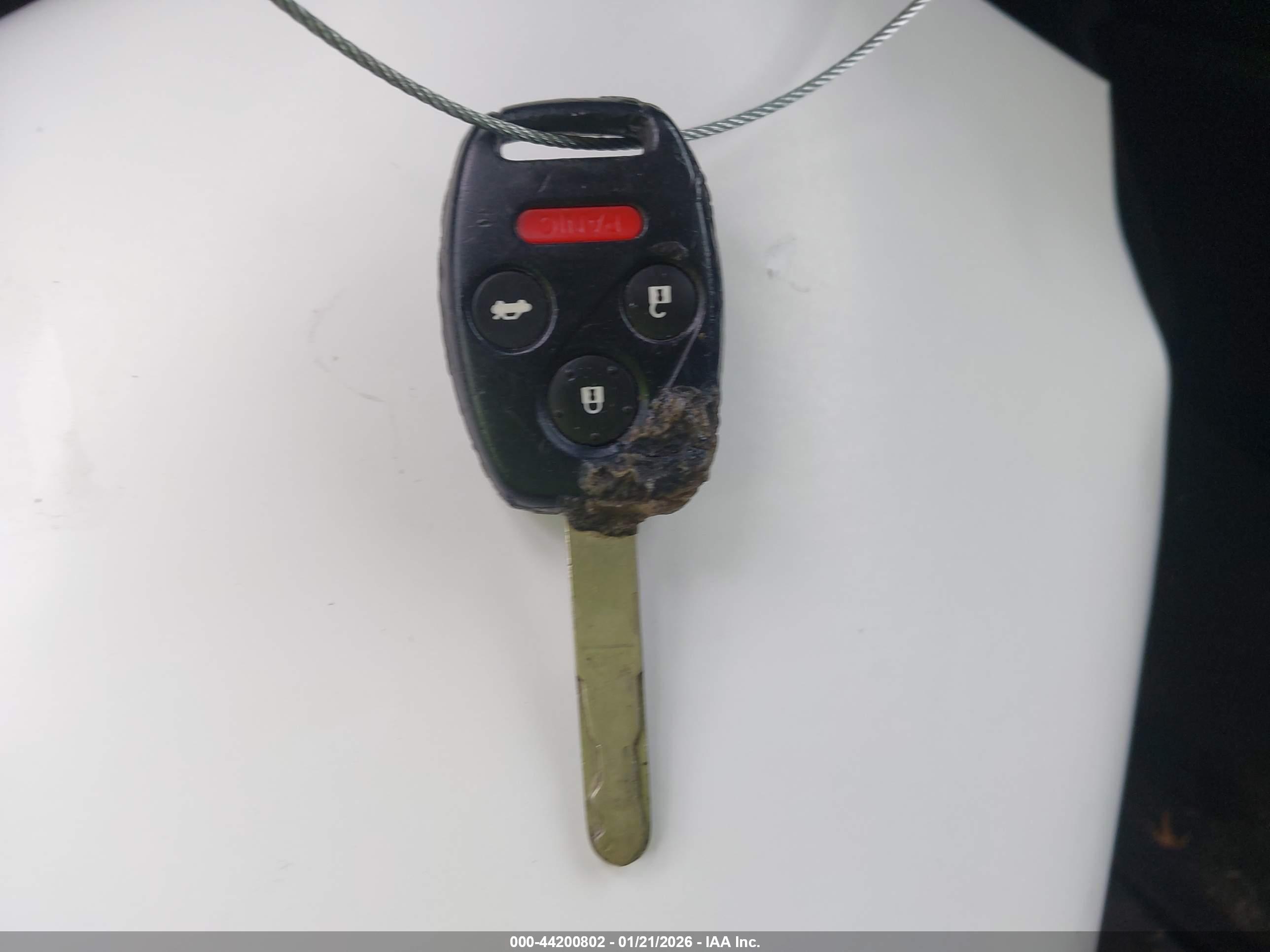 HONDA ACCORD image 11