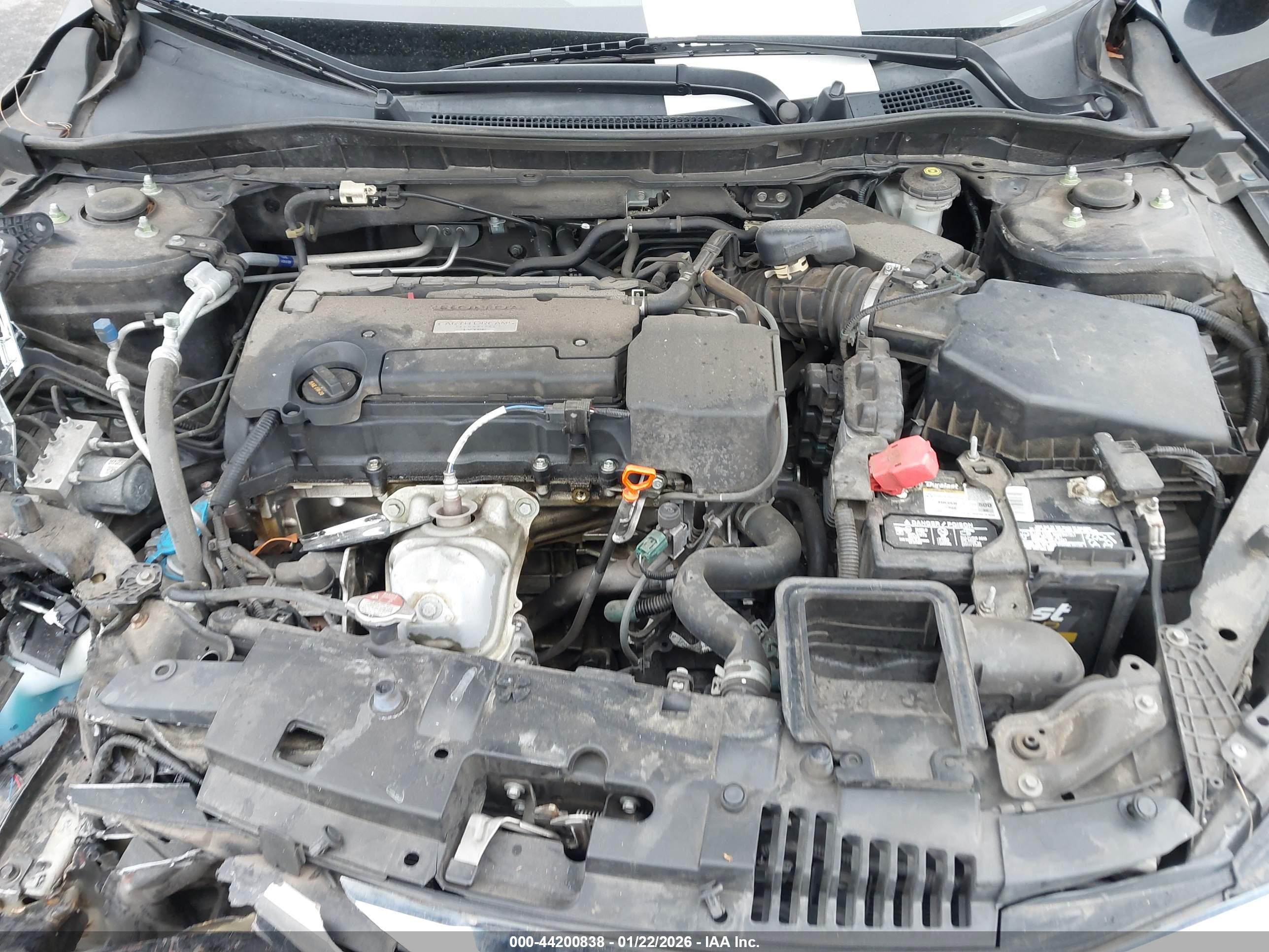 HONDA ACCORD image 10