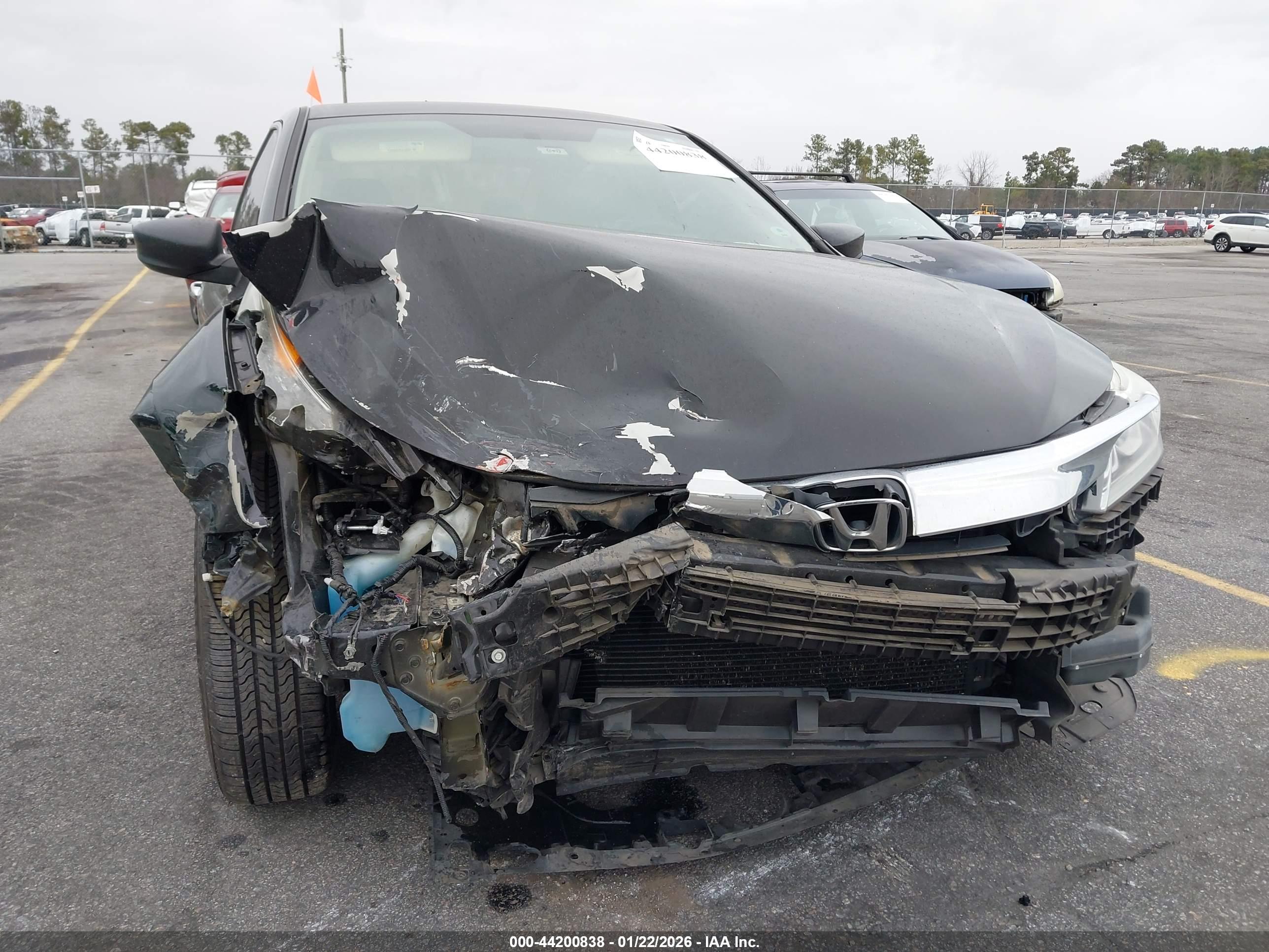 HONDA ACCORD image 6