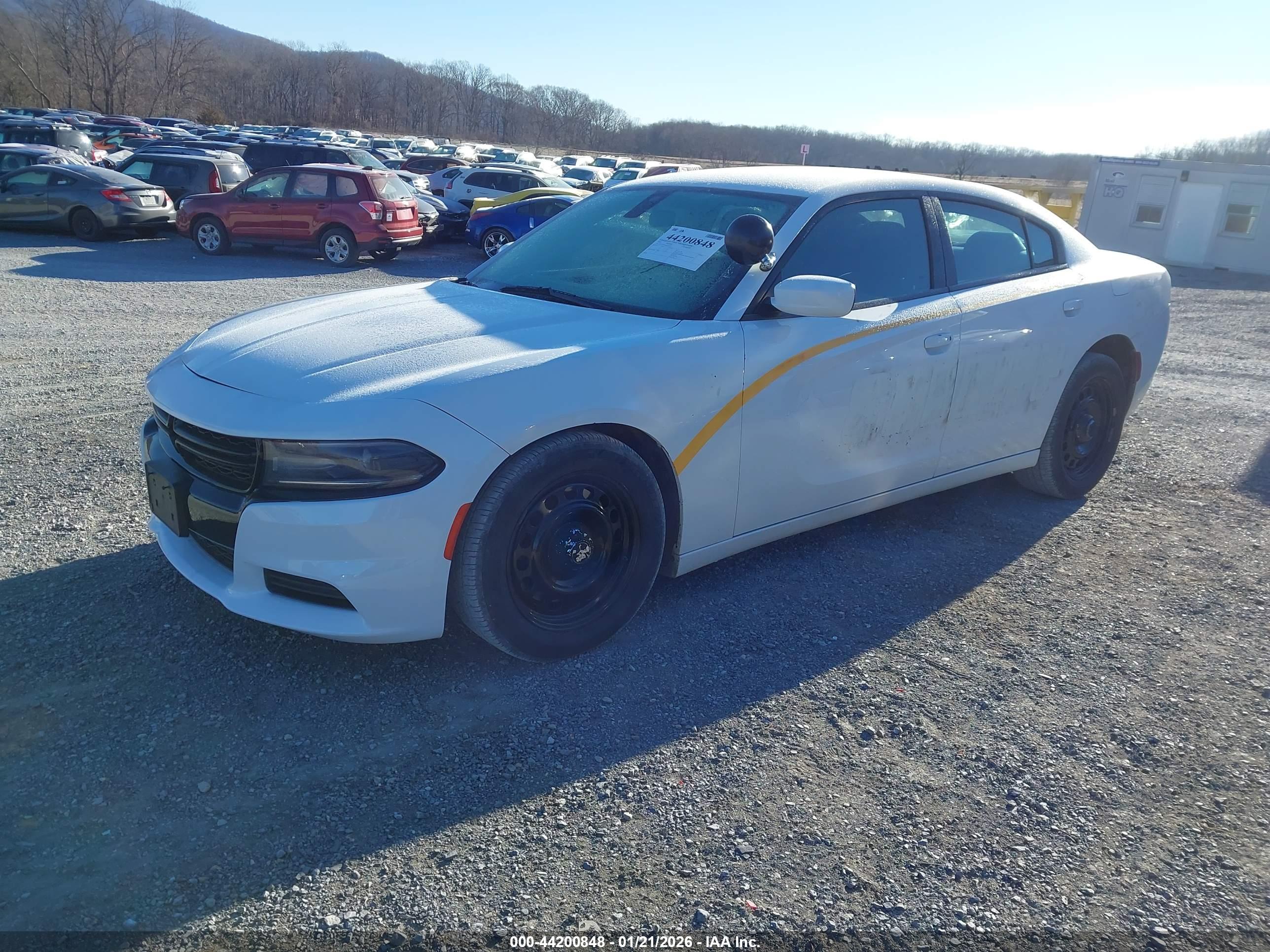 DODGE CHARGER image 2