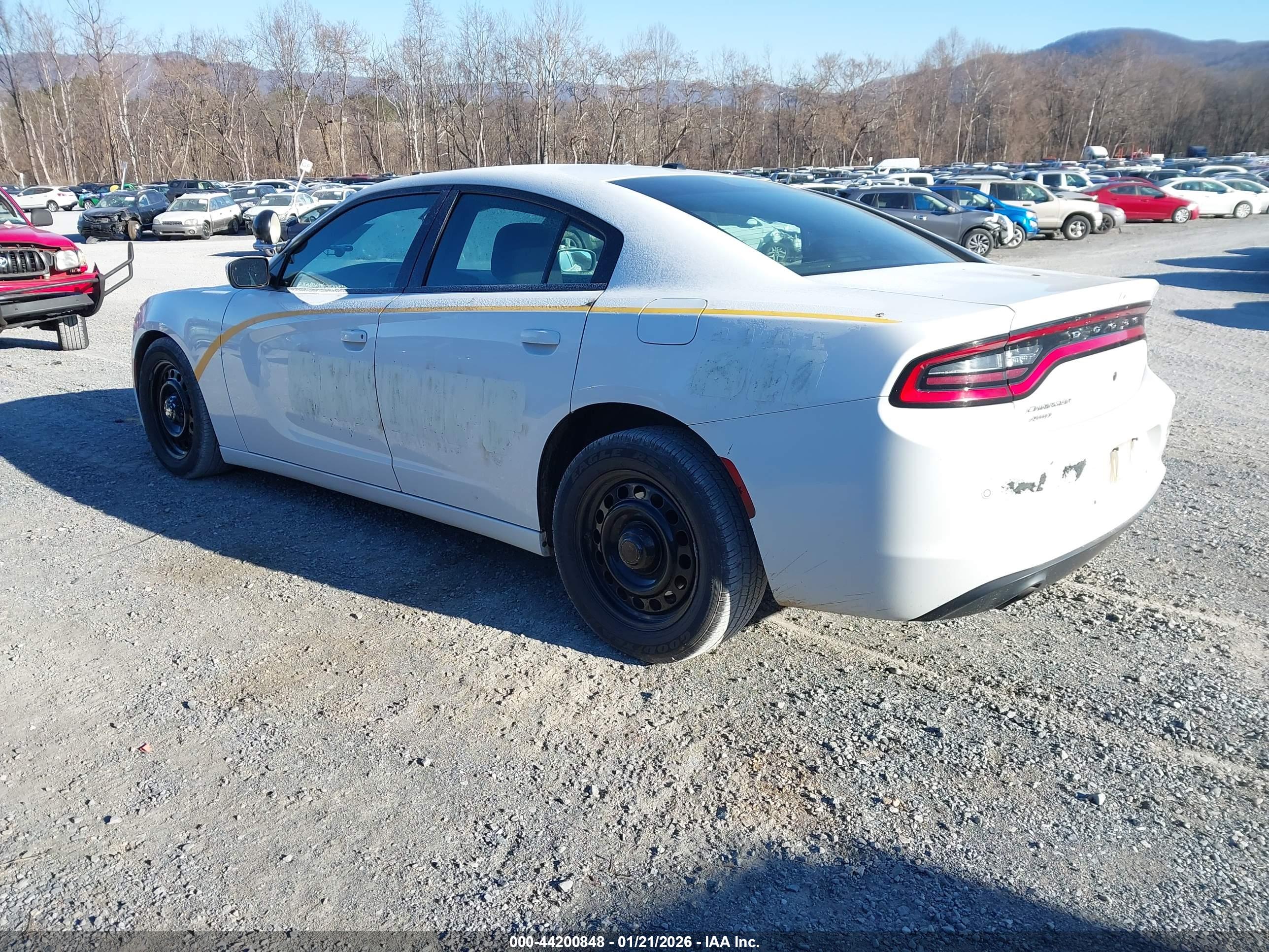 DODGE CHARGER image 3