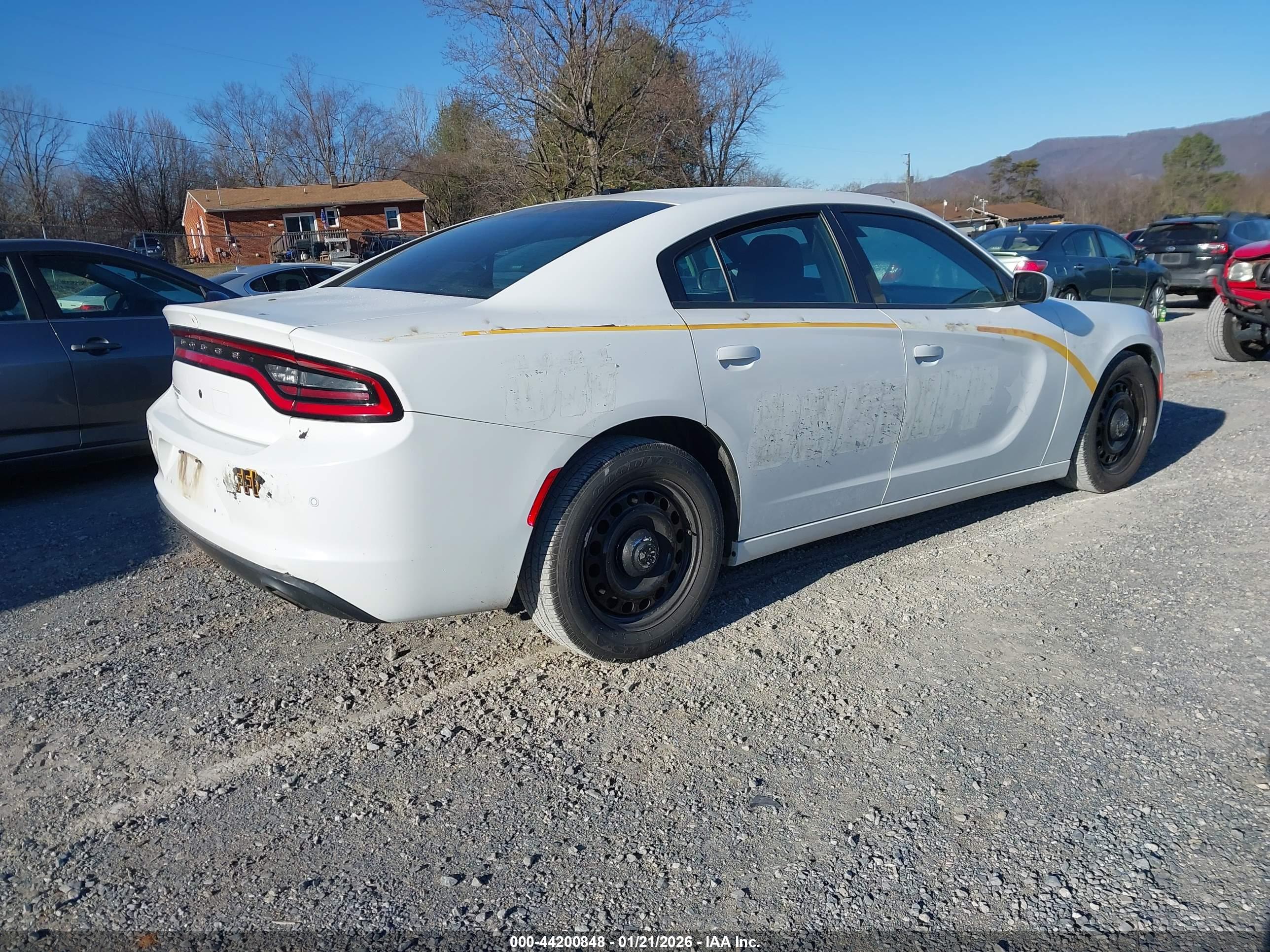 DODGE CHARGER image 4