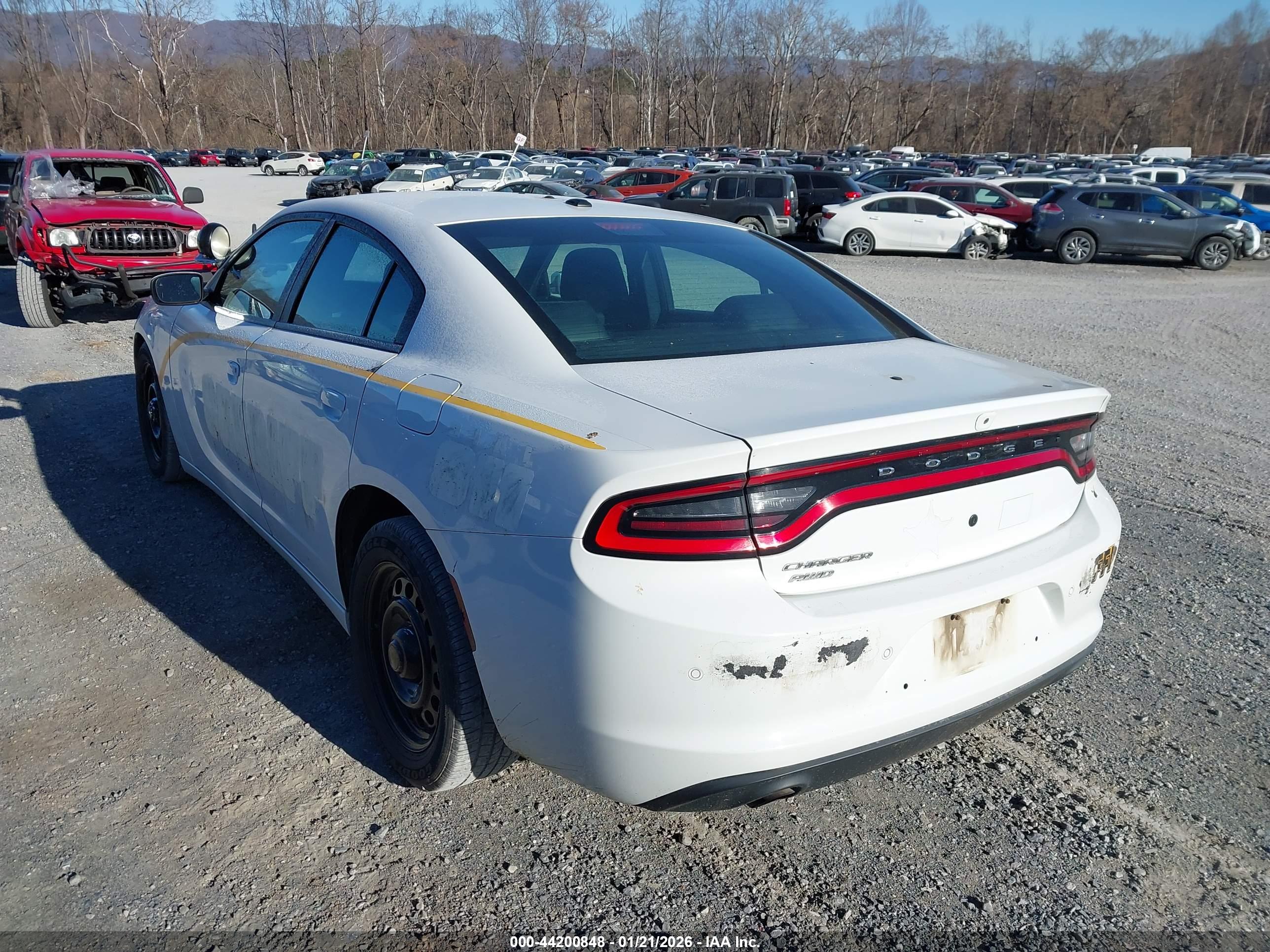 DODGE CHARGER image 6