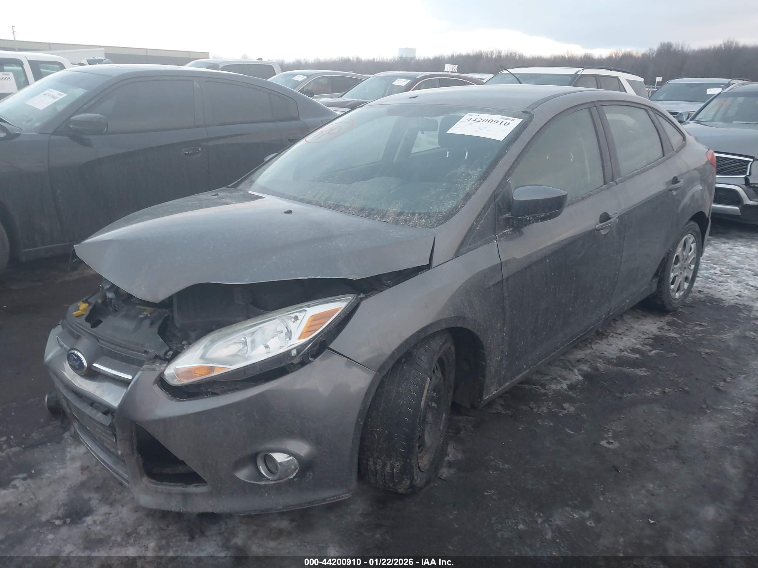 FORD FOCUS image 2