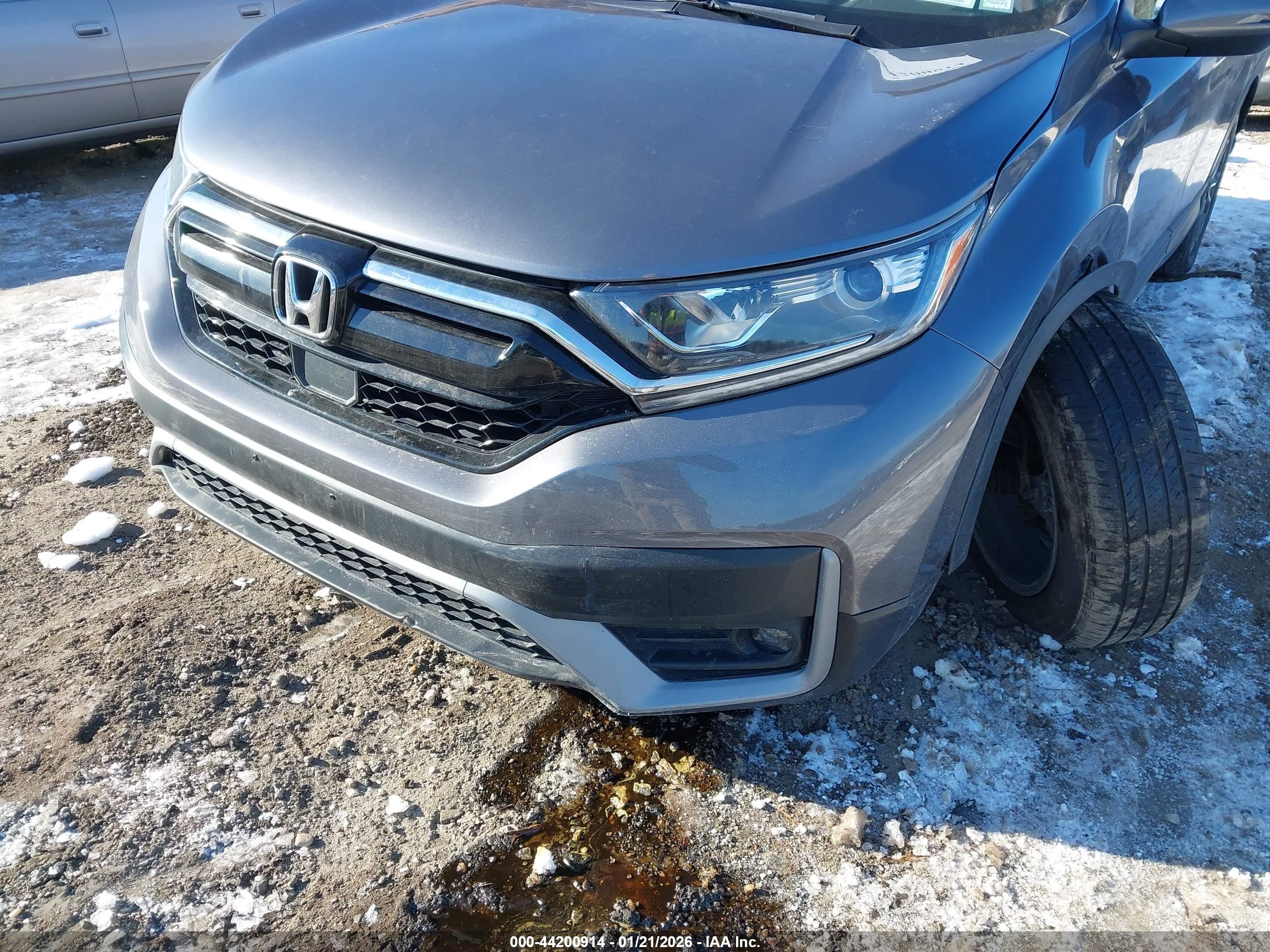 HONDA CR-V image 6
