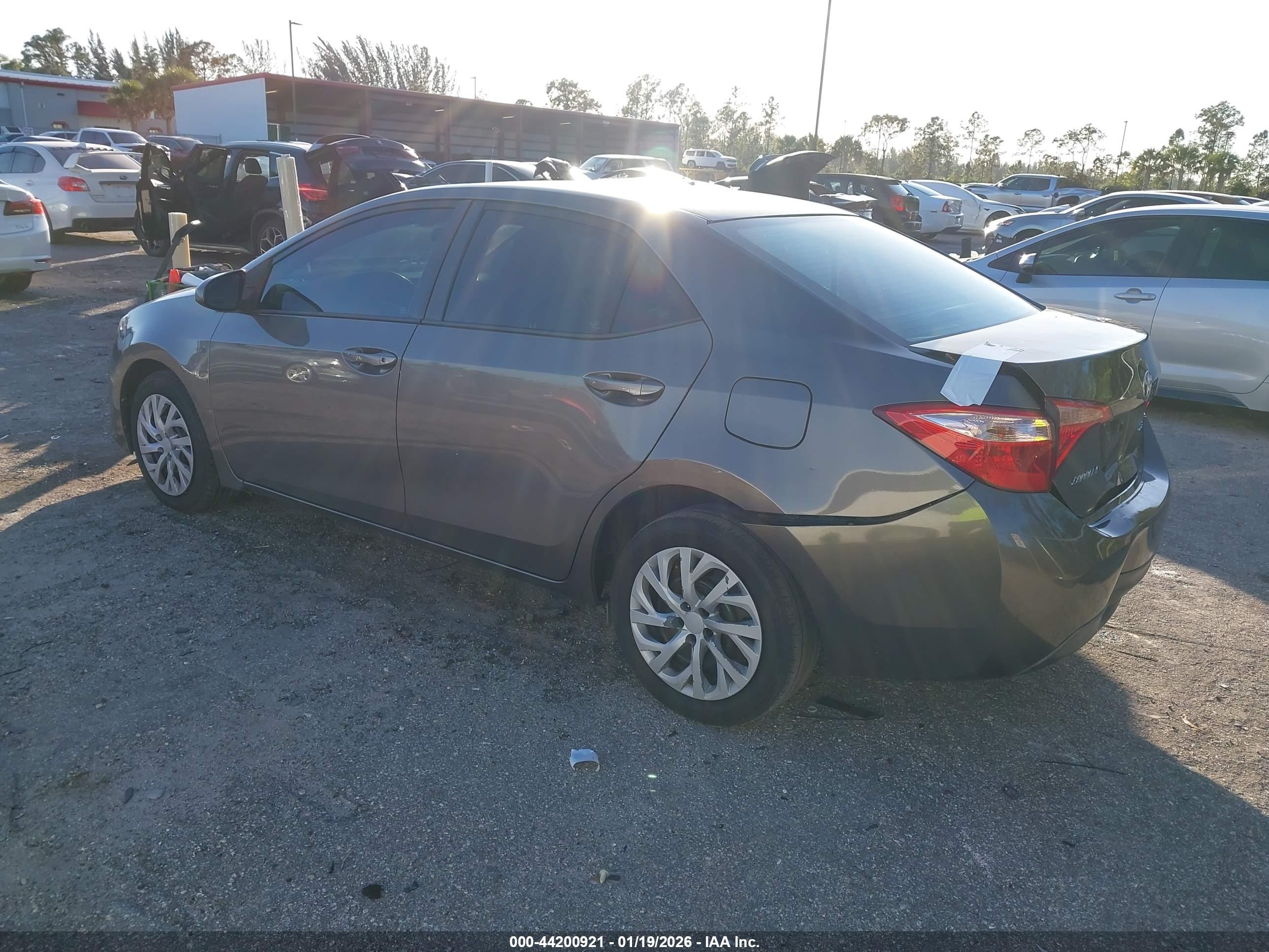 TOYOTA COROLLA image 3