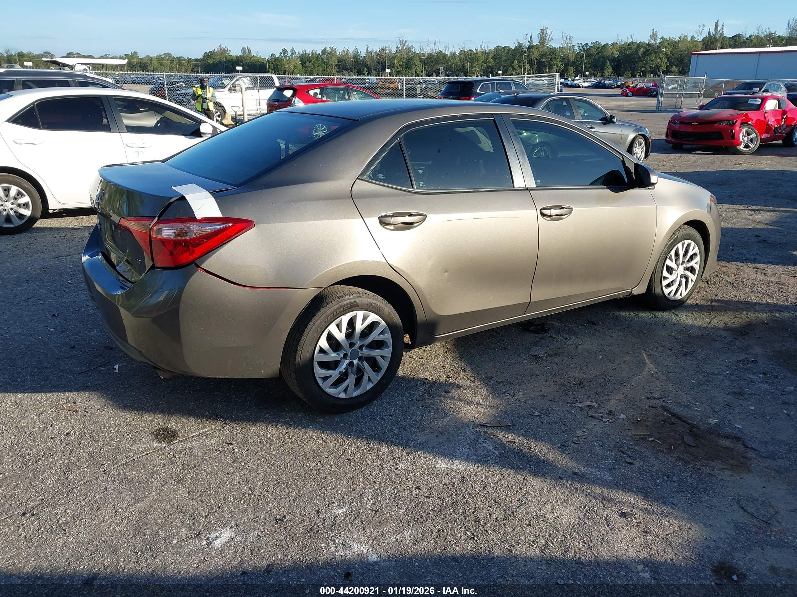 TOYOTA COROLLA image 4