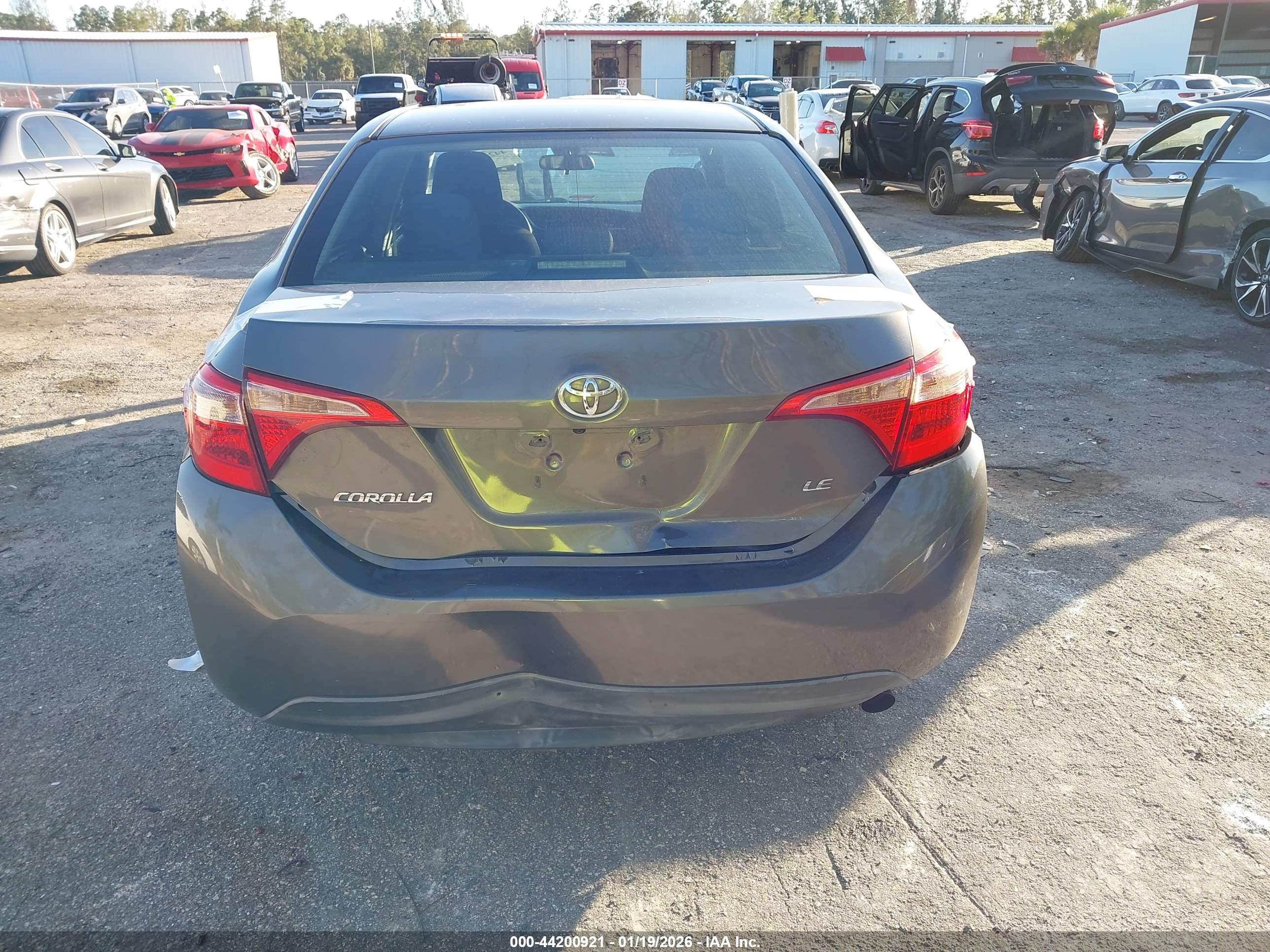 TOYOTA COROLLA image 6