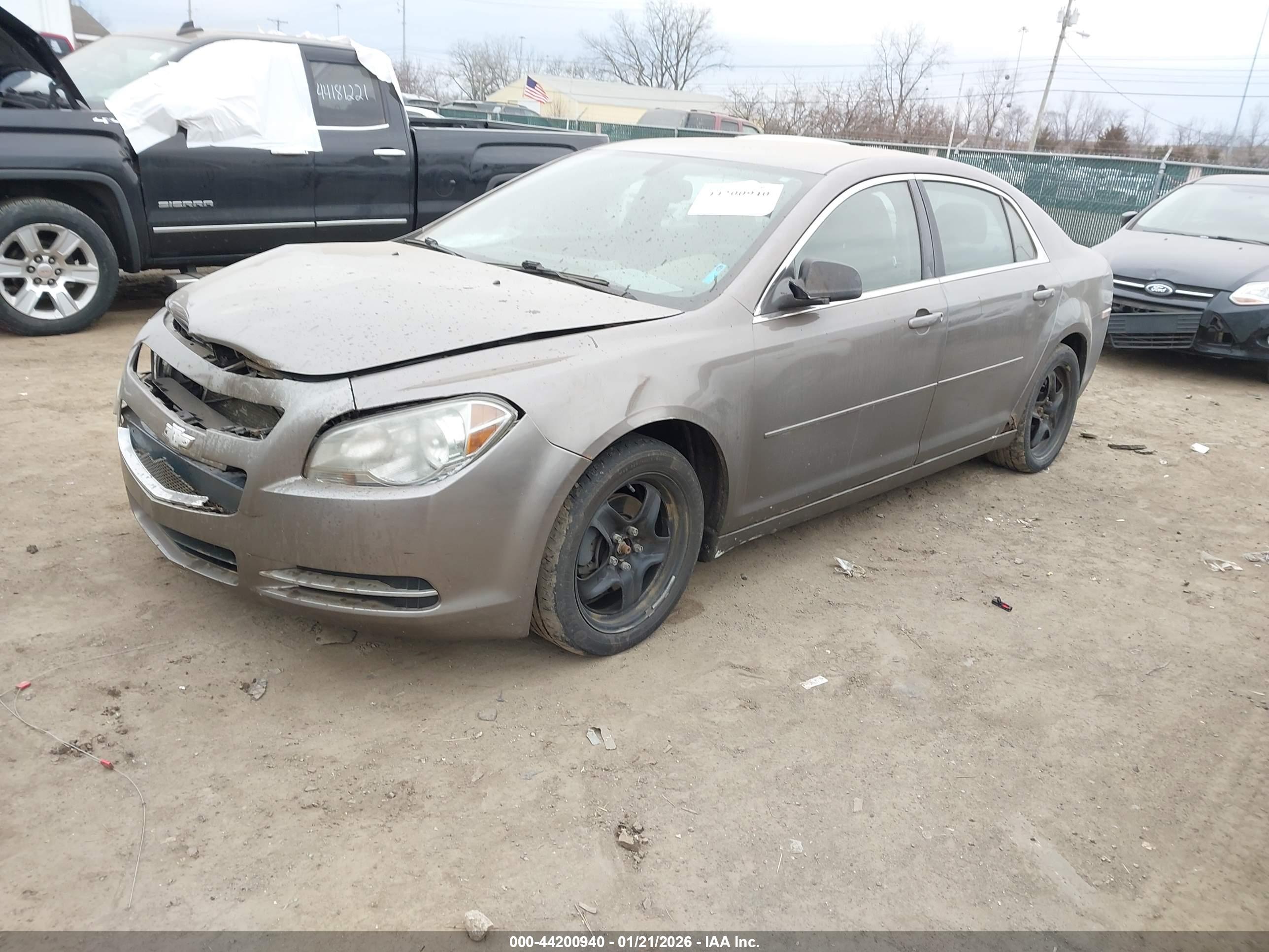 CHEVROLET MALIBU image 2
