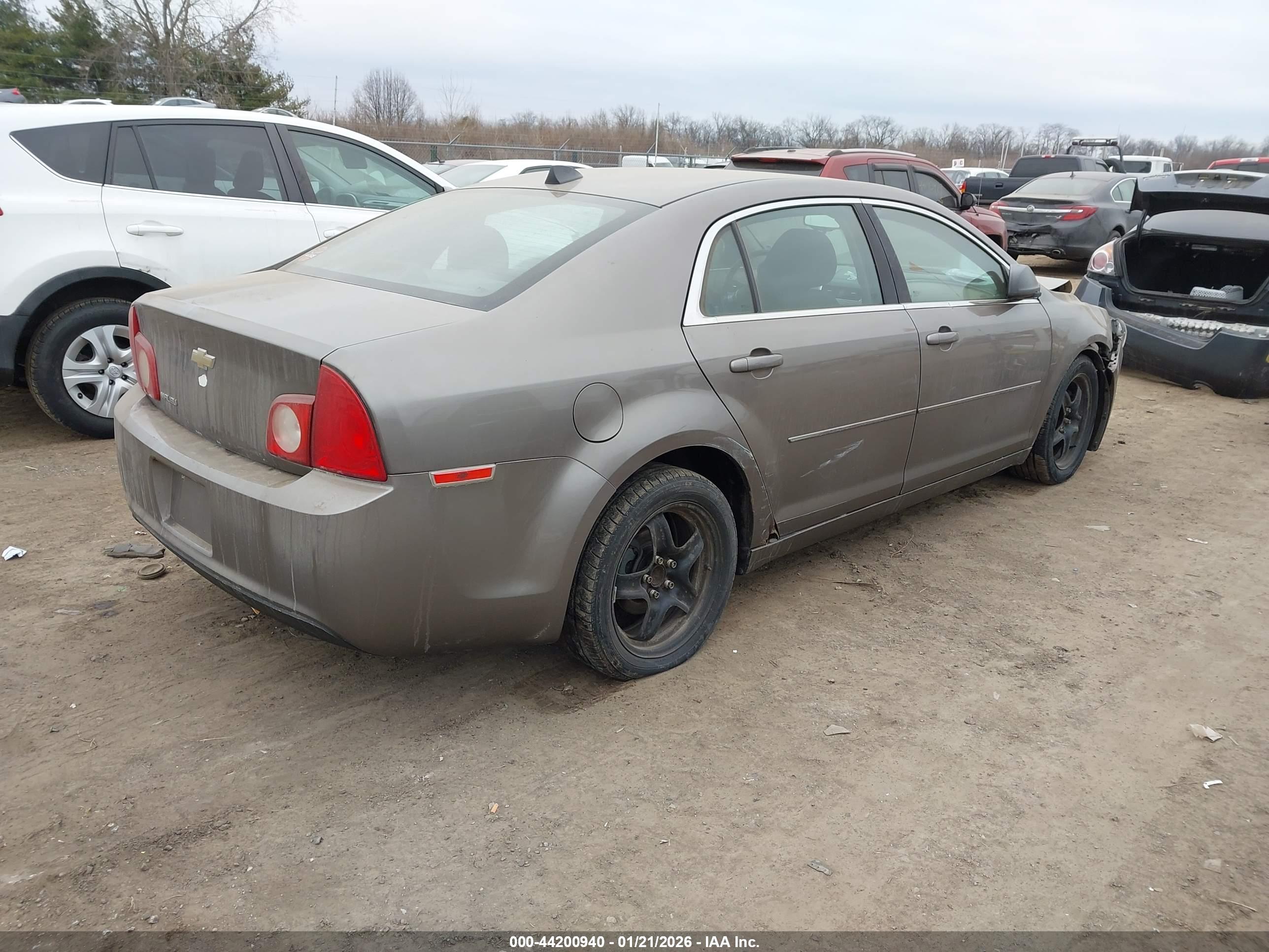 CHEVROLET MALIBU image 4