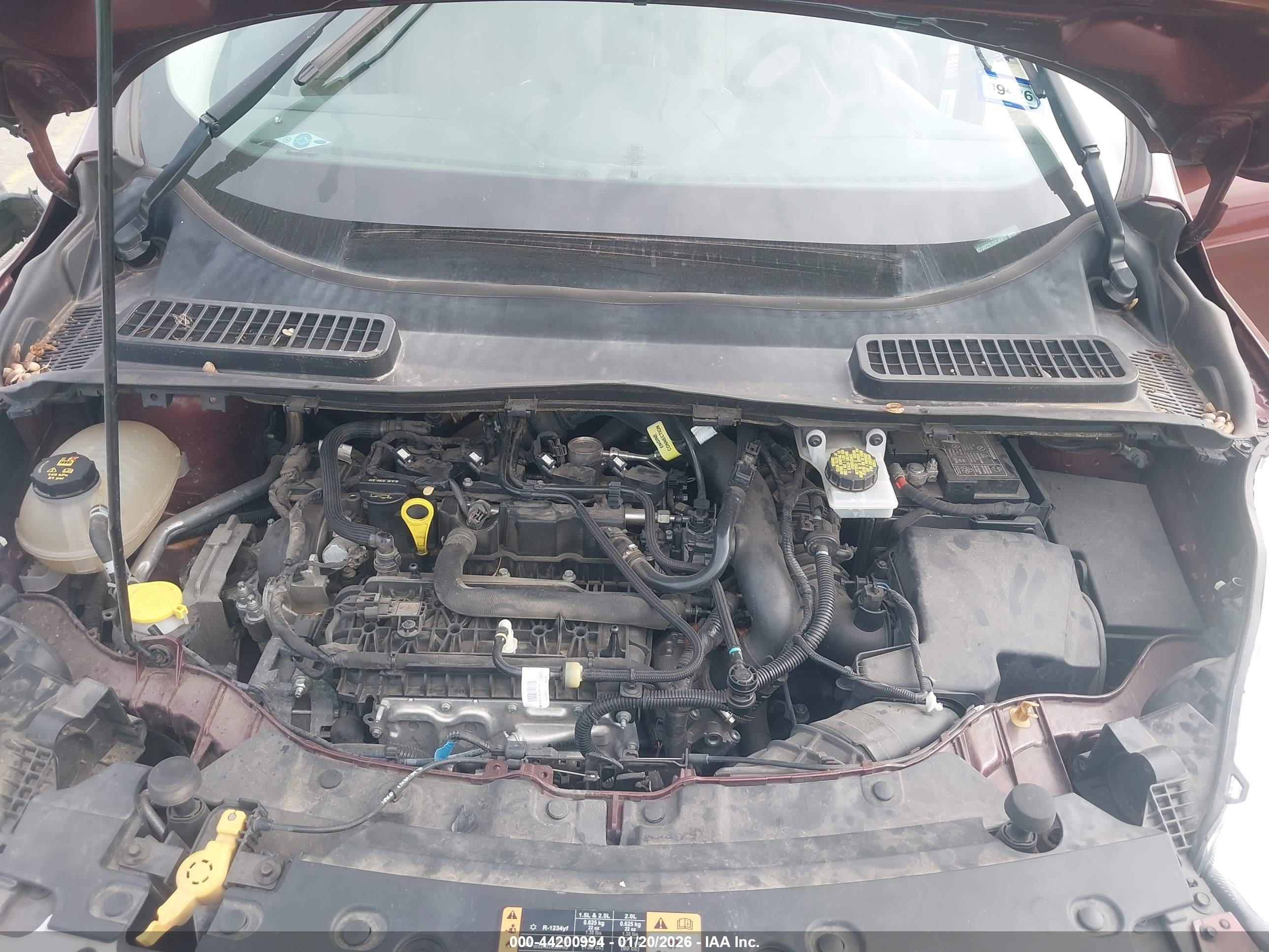 FORD ESCAPE image 10