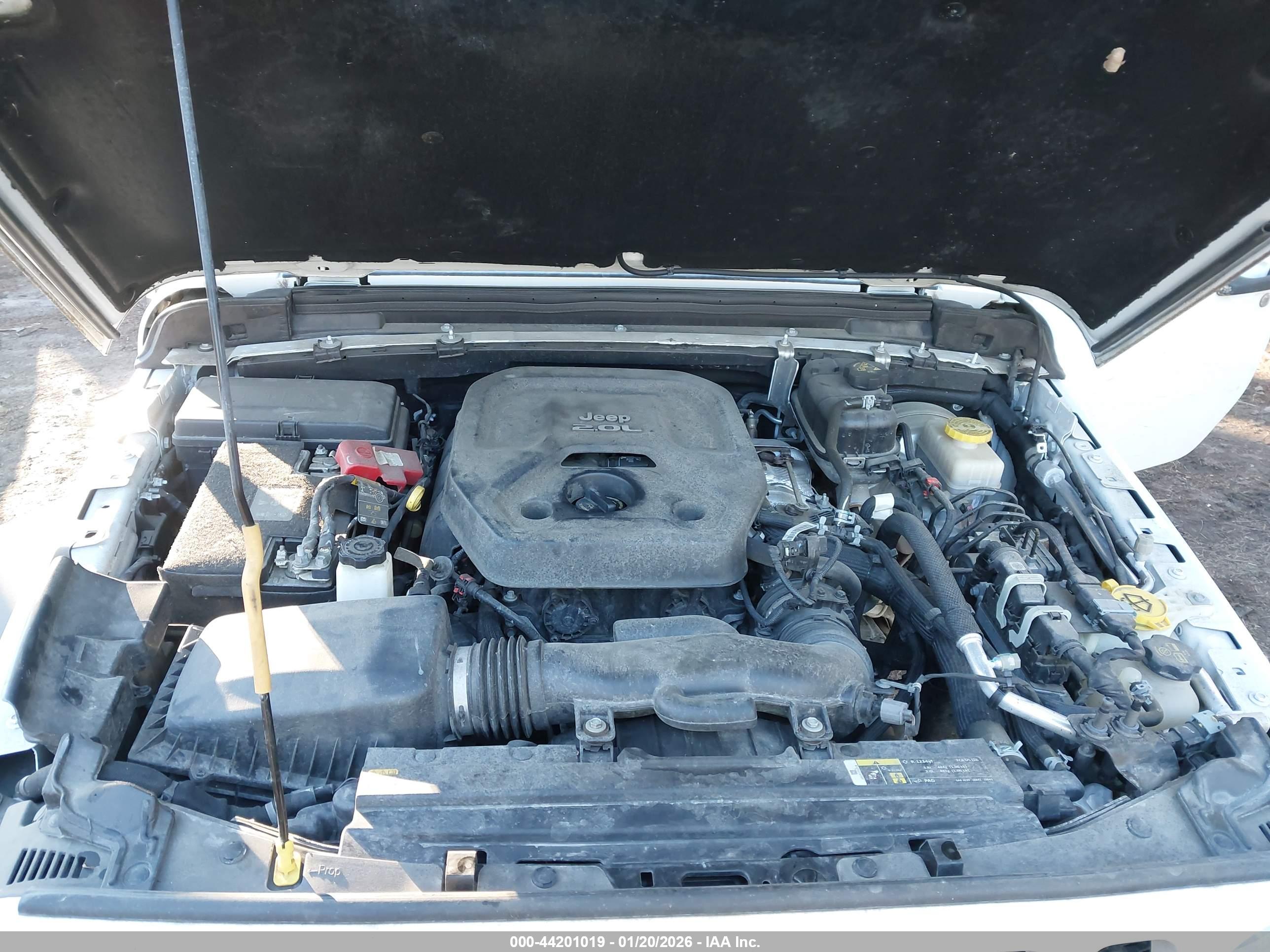 JEEP WRANGLER image 10