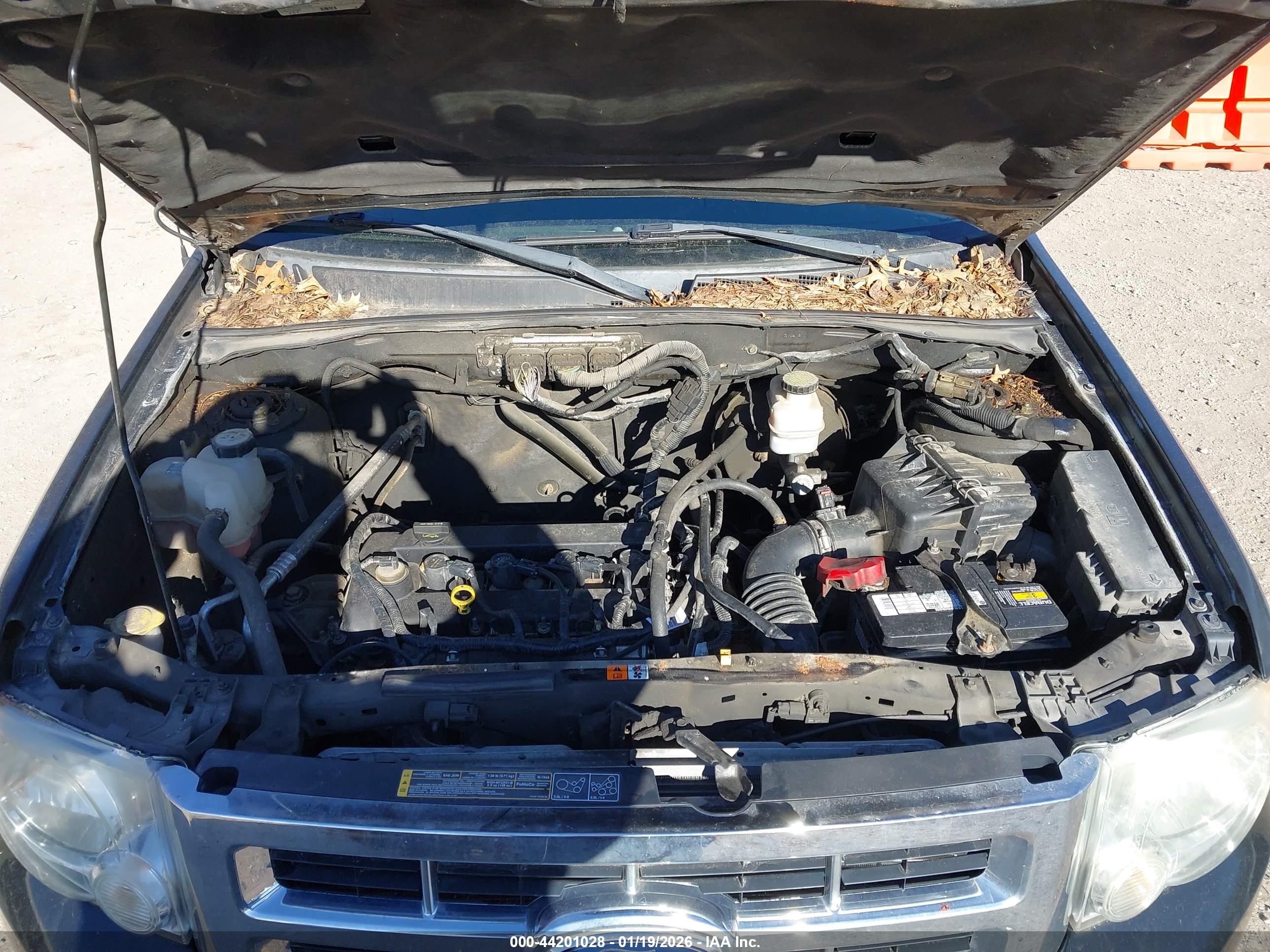 FORD ESCAPE image 10