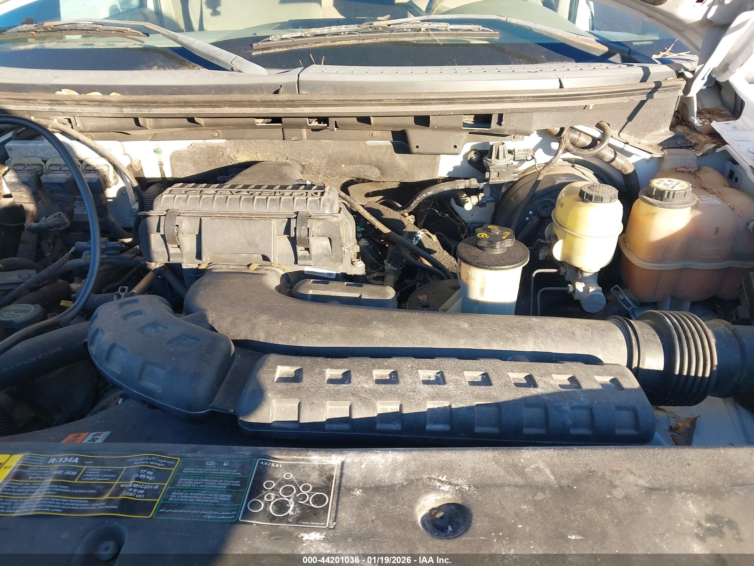 FORD F-150 image 6