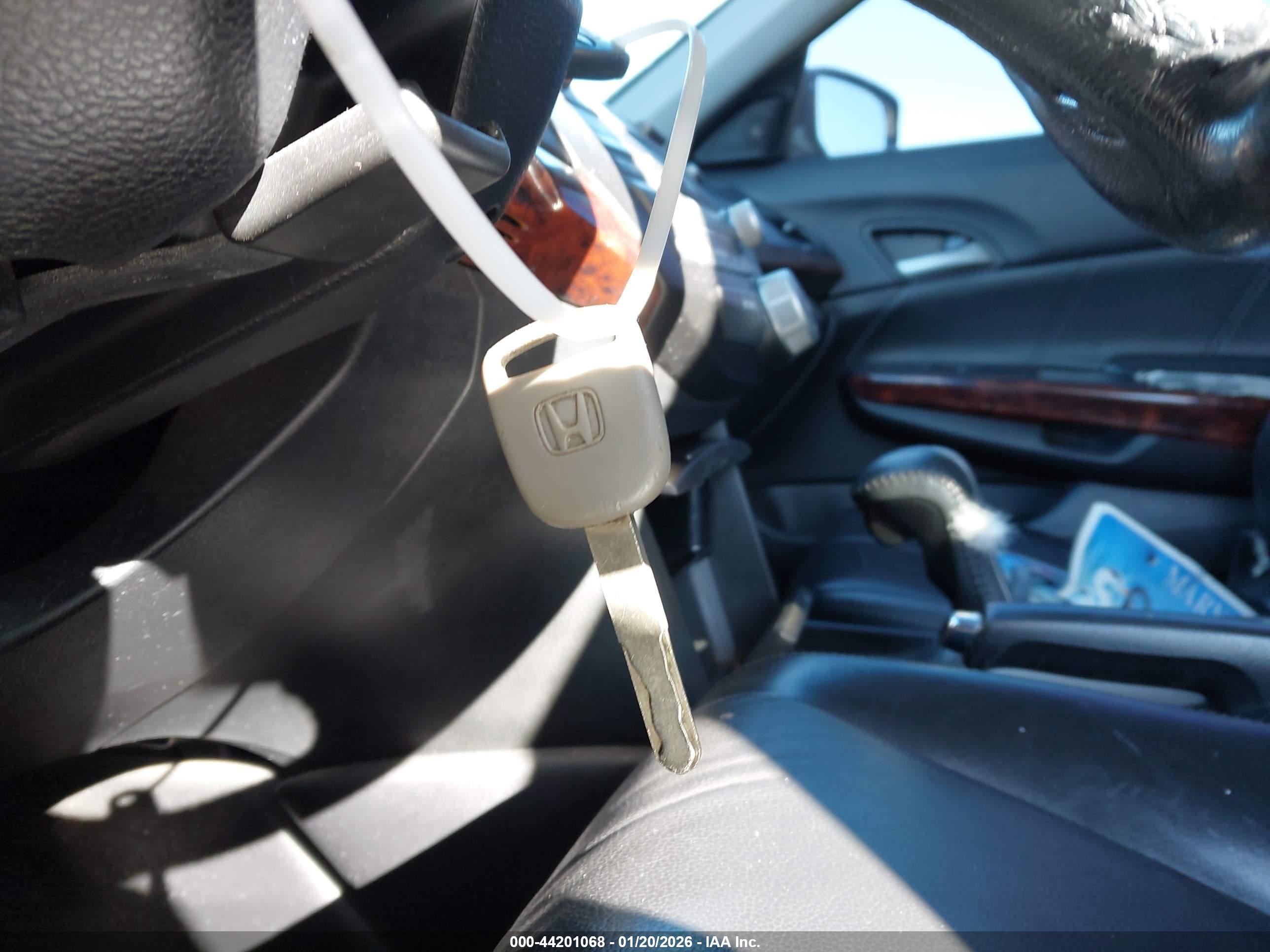 HONDA ACCORD image 11