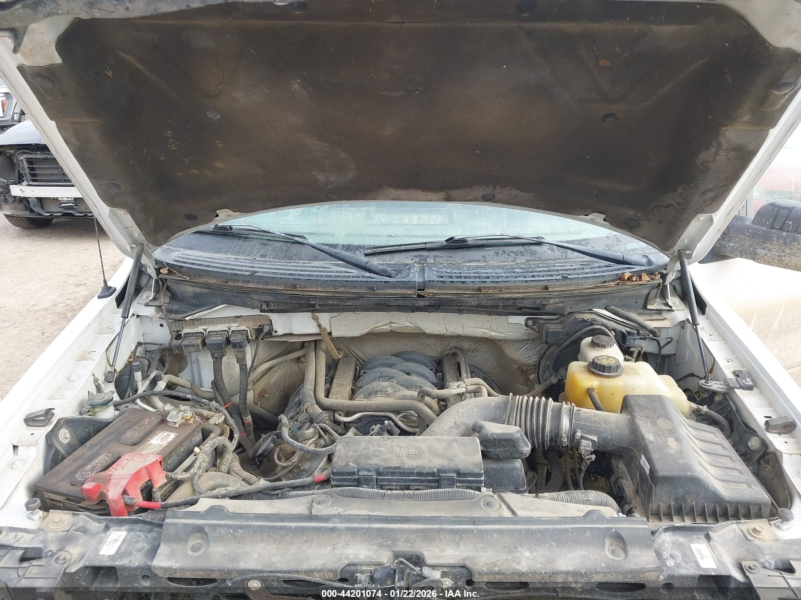 FORD F-150 image 10