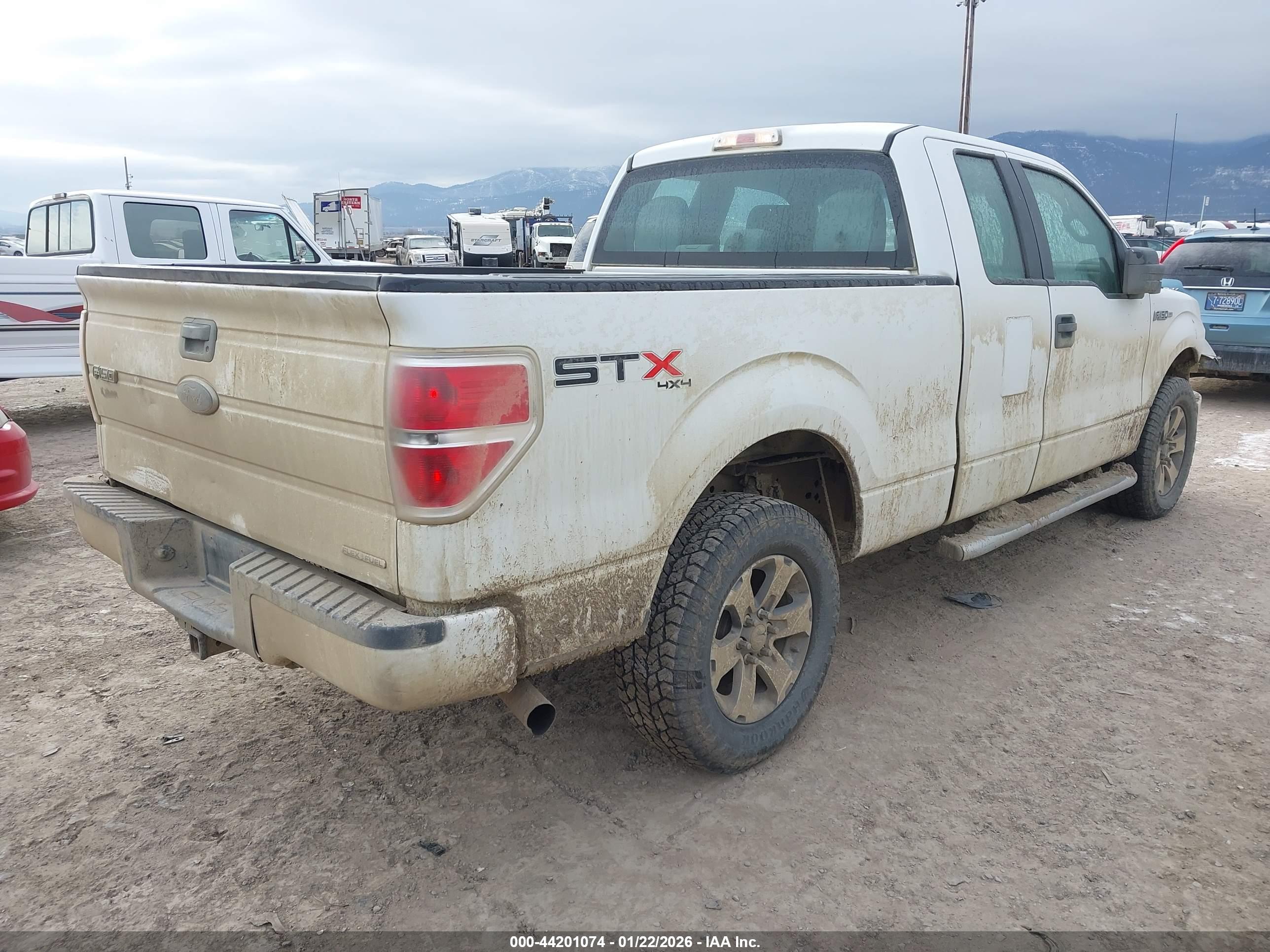 FORD F-150 image 4
