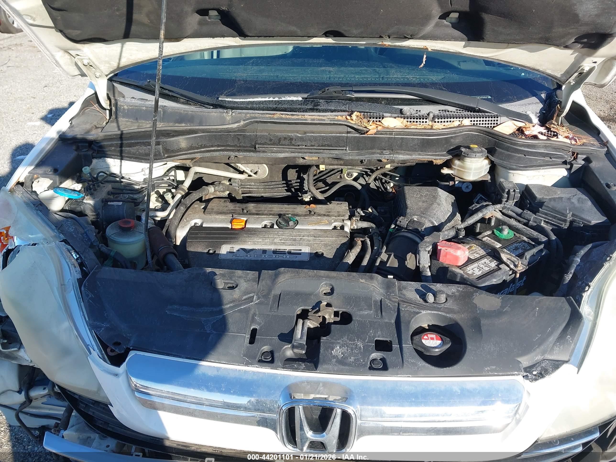 HONDA CR-V image 10