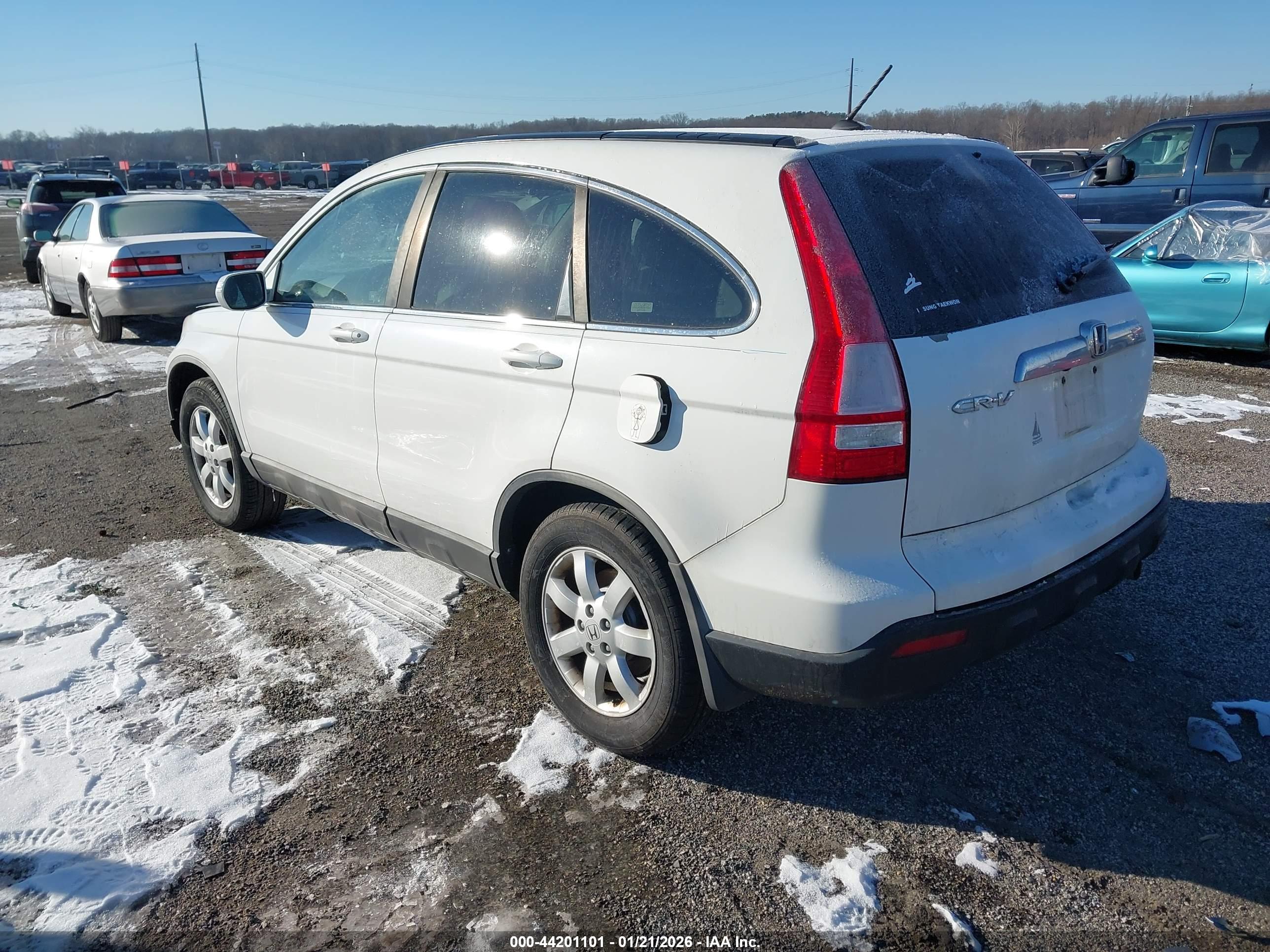 HONDA CR-V image 3