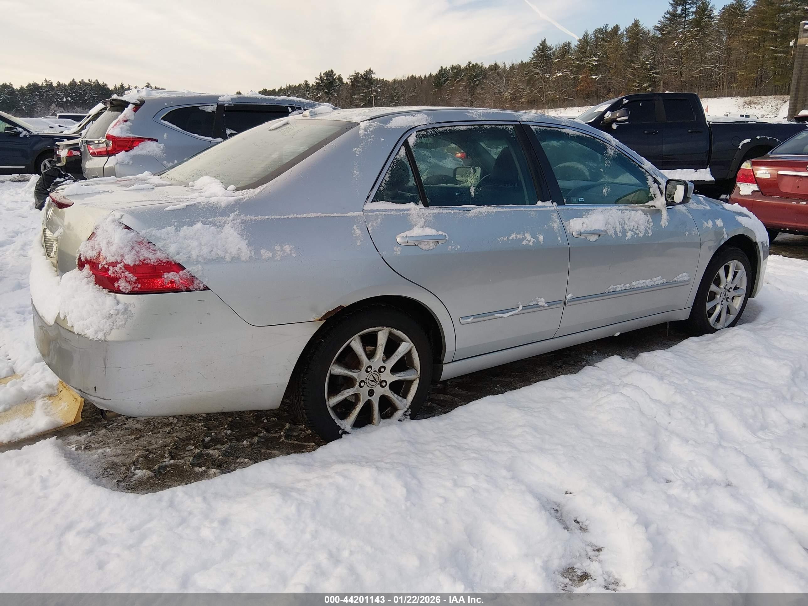 HONDA ACCORD image 4