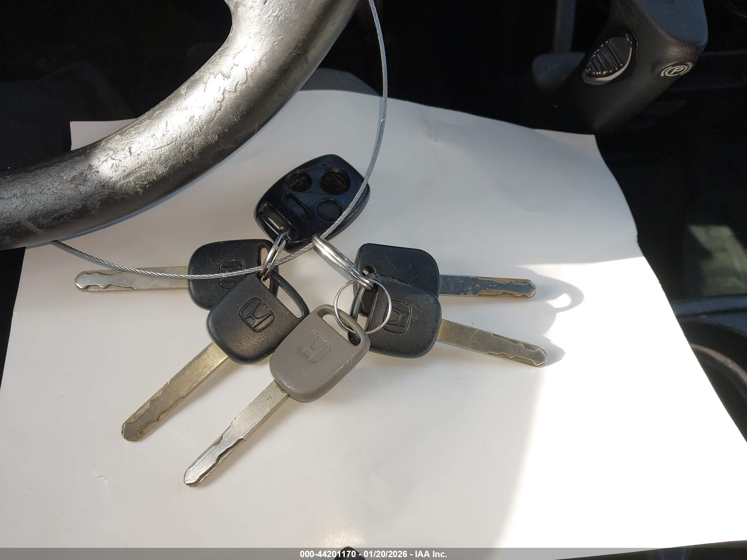 HONDA CR-V image 11