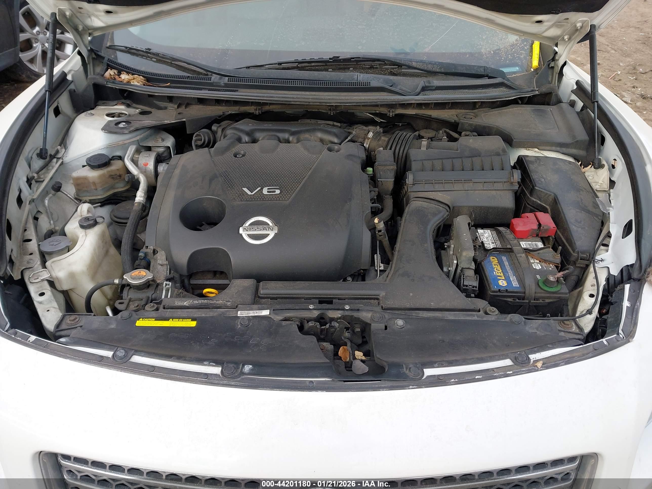 NISSAN MAXIMA image 10